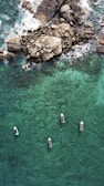 a group of boats floating on top of a body of water