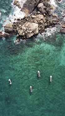 a group of boats floating on top of a body of water