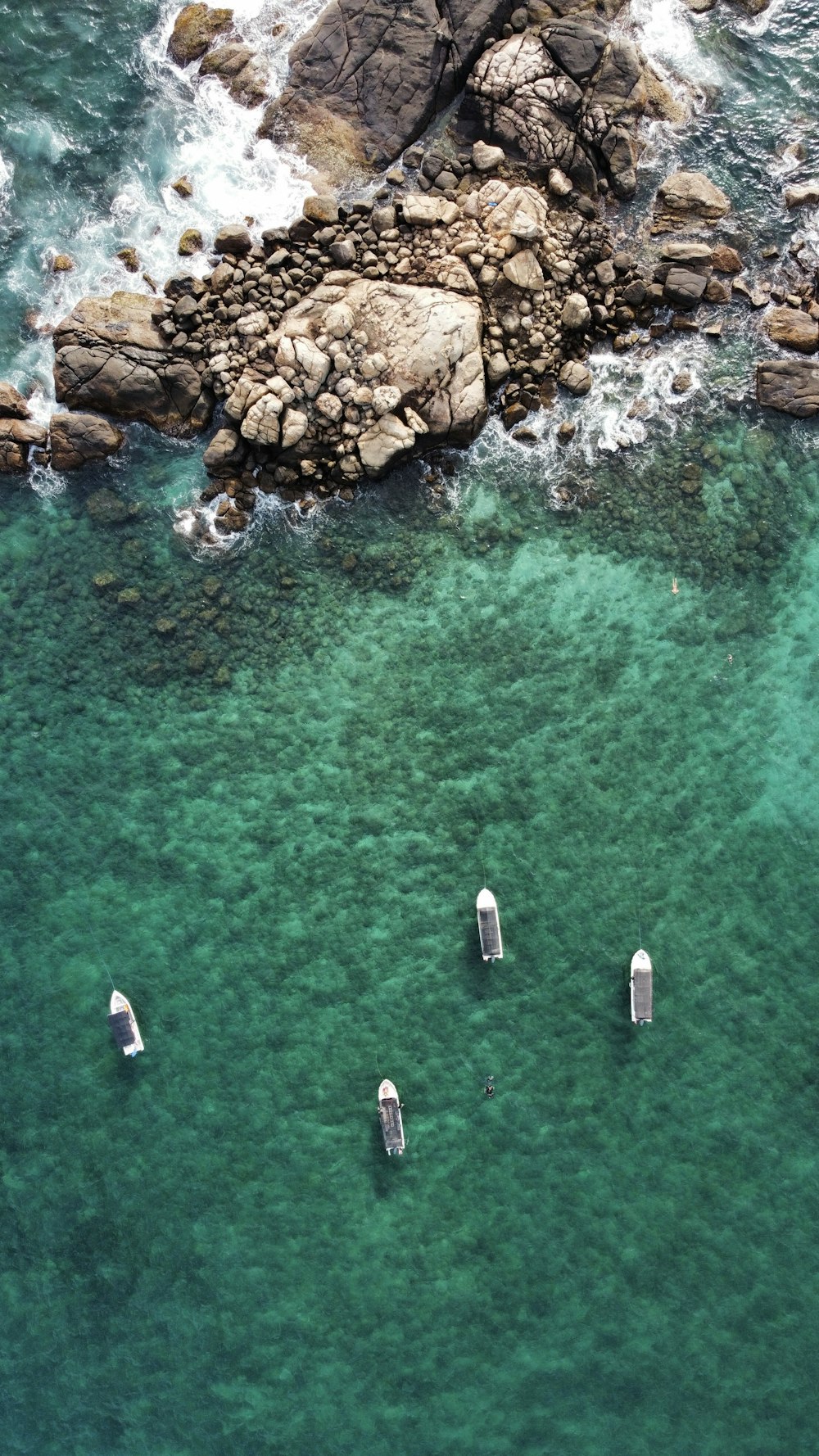 Un grupo de botes flotando sobre un cuerpo de agua