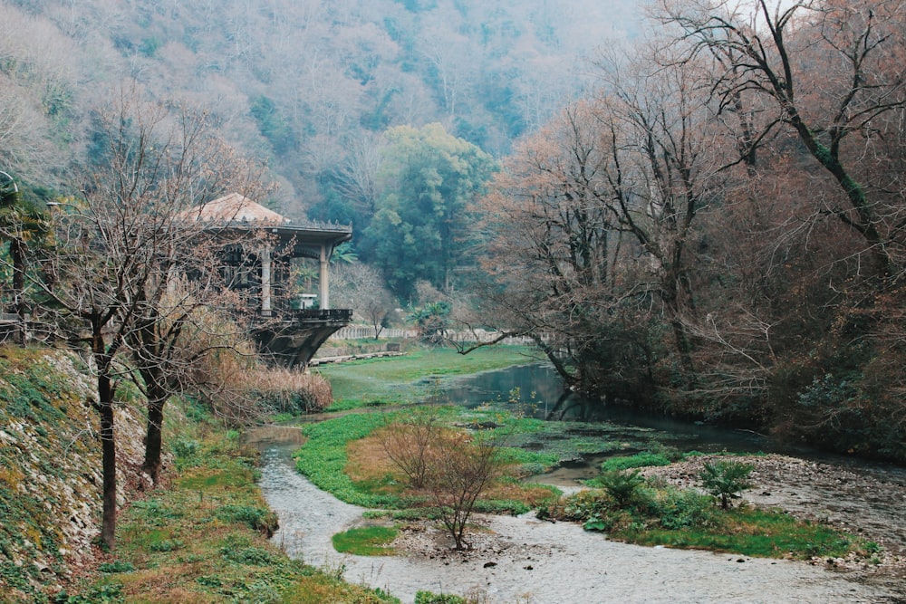 a river running through a lush green forest