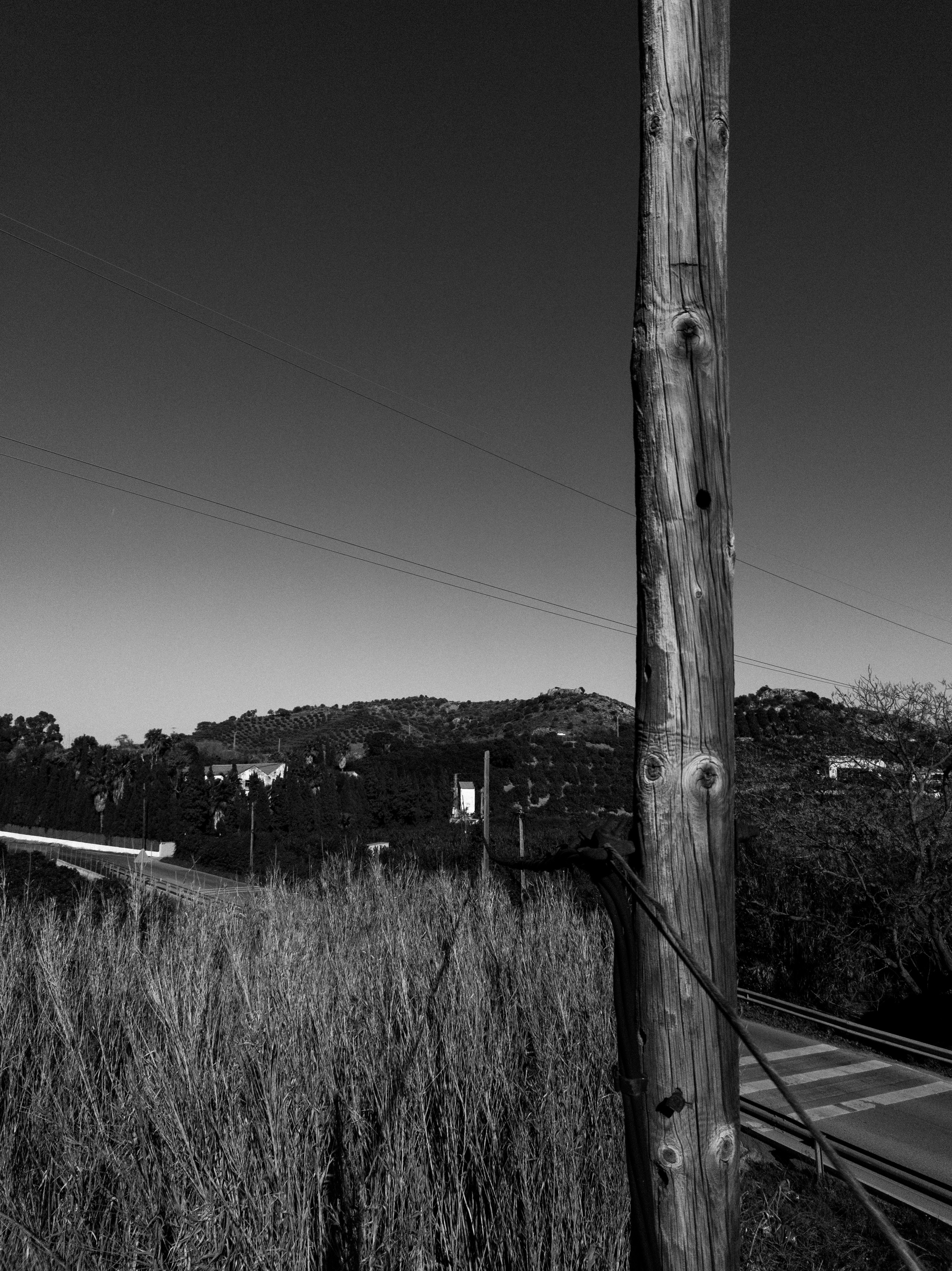 Containers in Foothill Ranch, CA