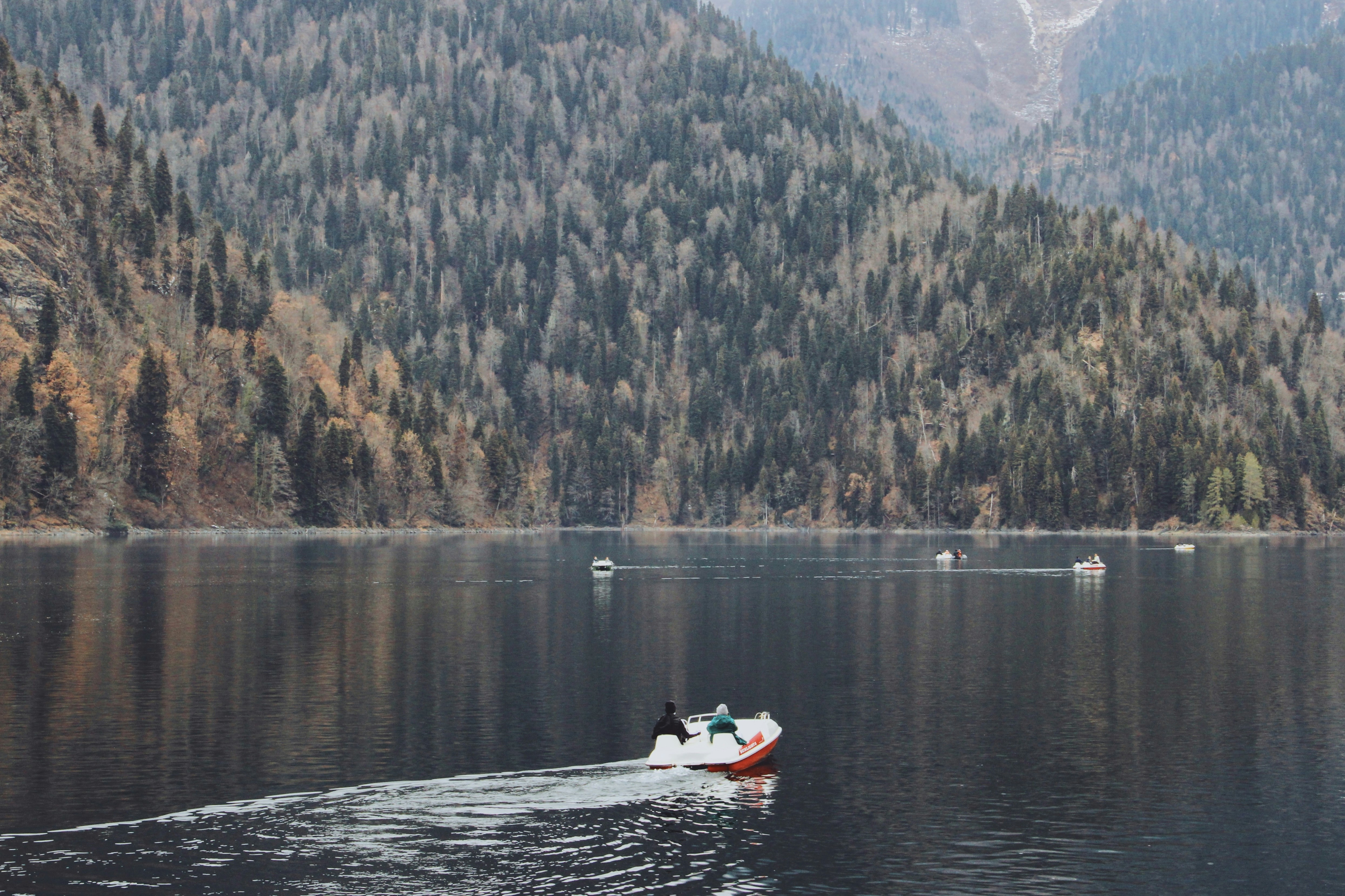 Photo by olga_bykova