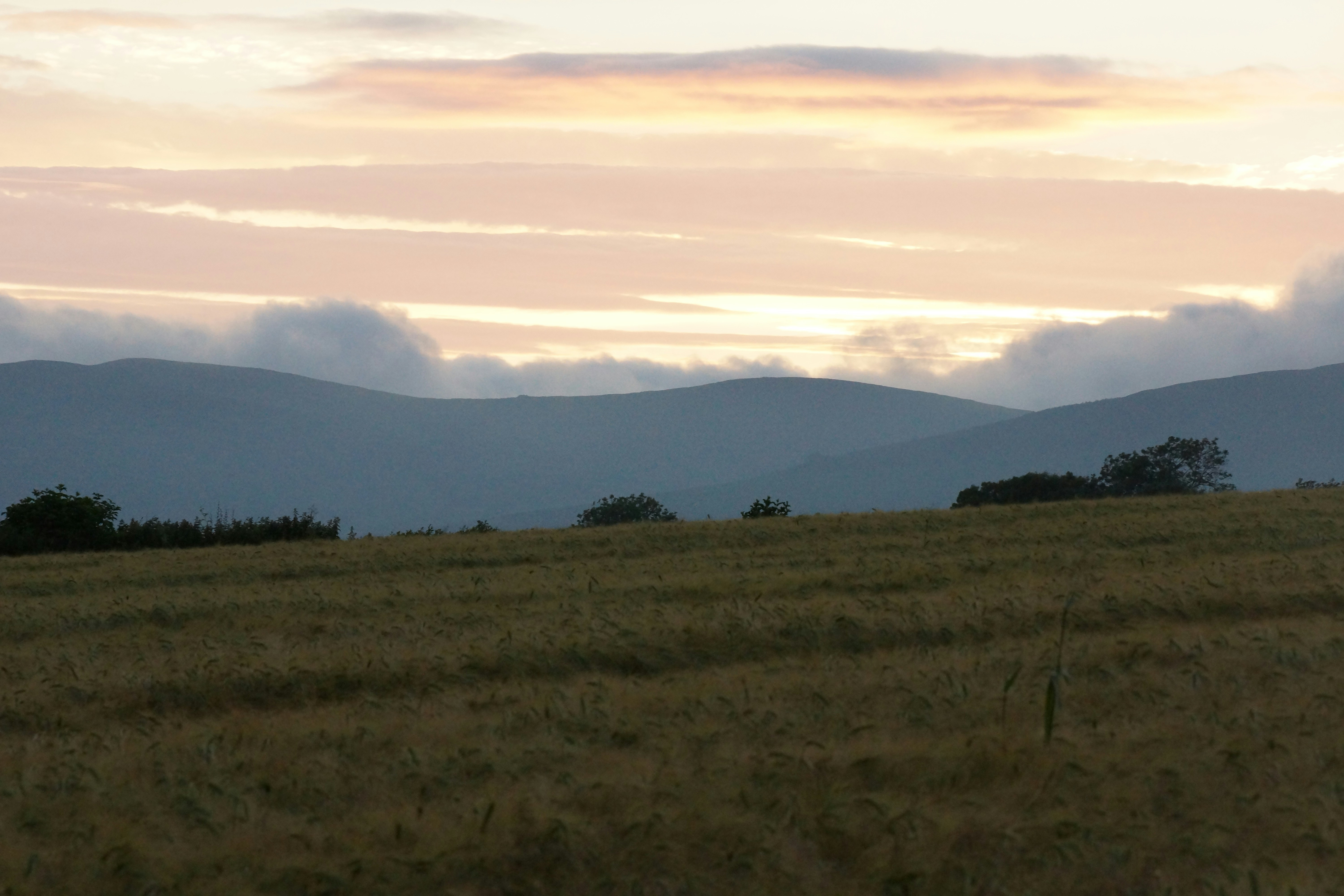 Photo by charlesmollphoto