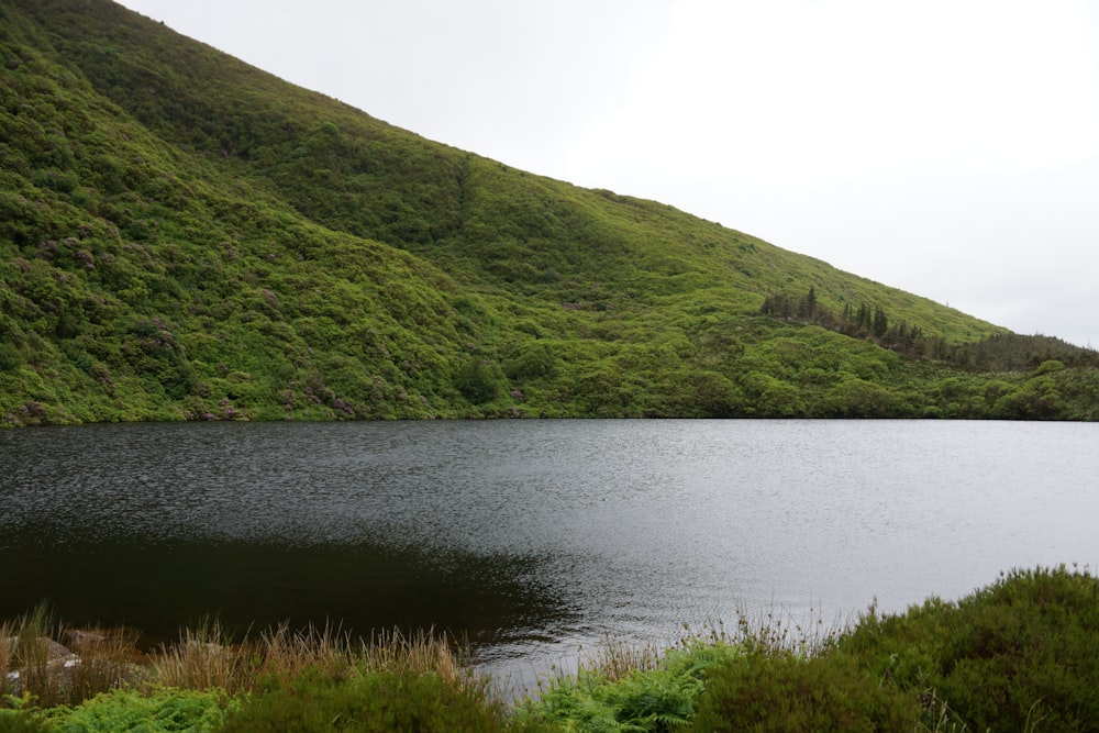 a large body of water surrounded by a lush green hillside