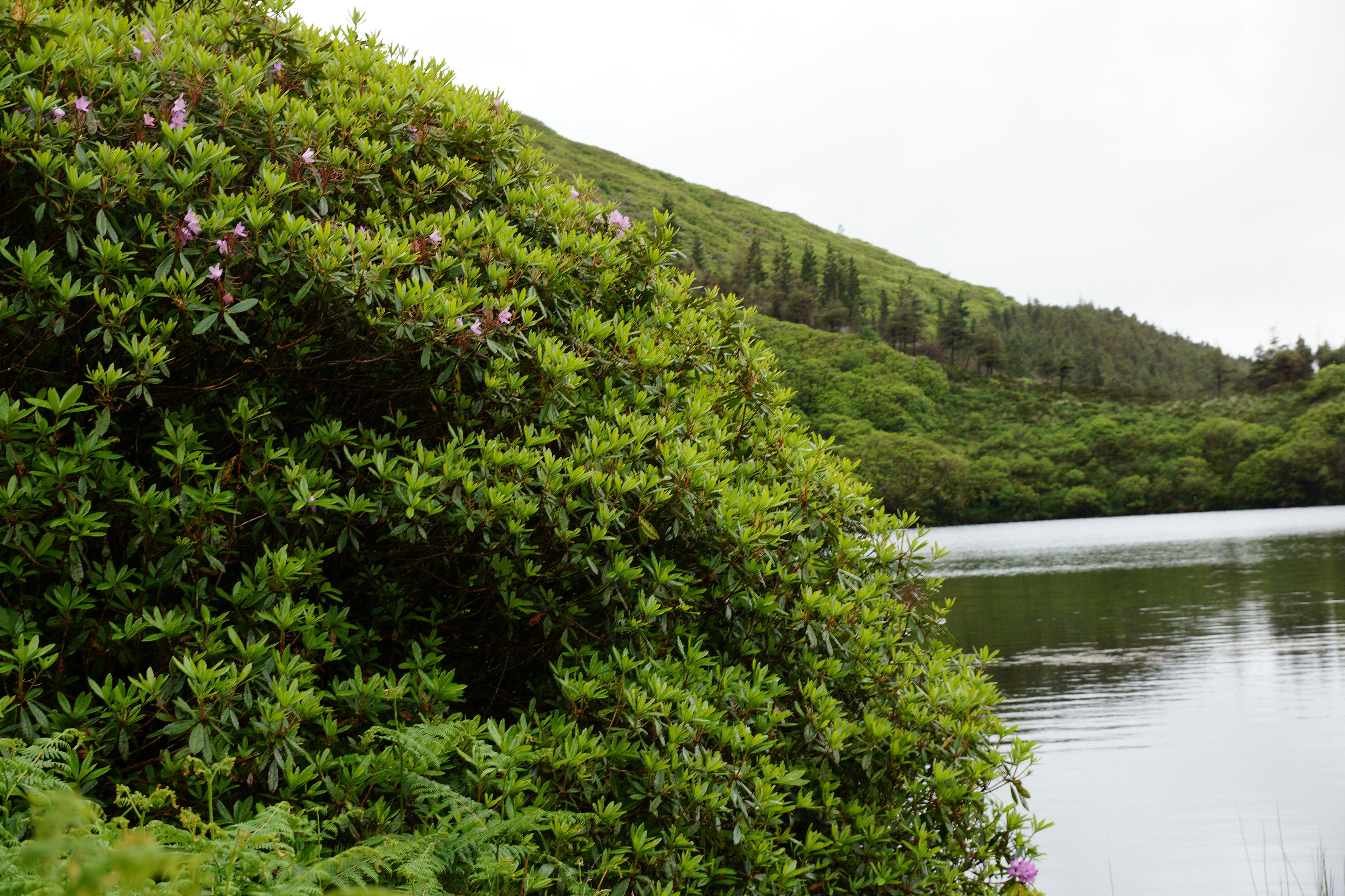 Photo by charlesmollphoto