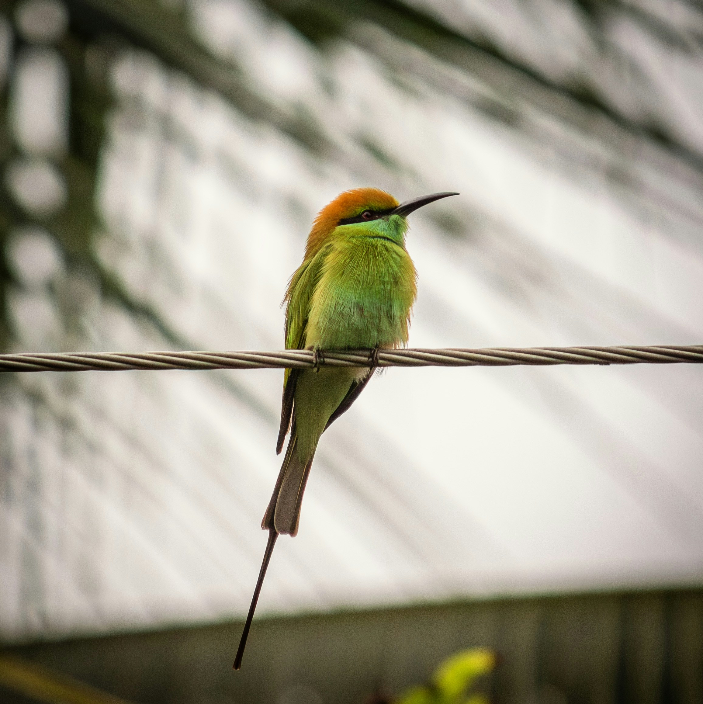 Photo by nipun_photography_unsplash