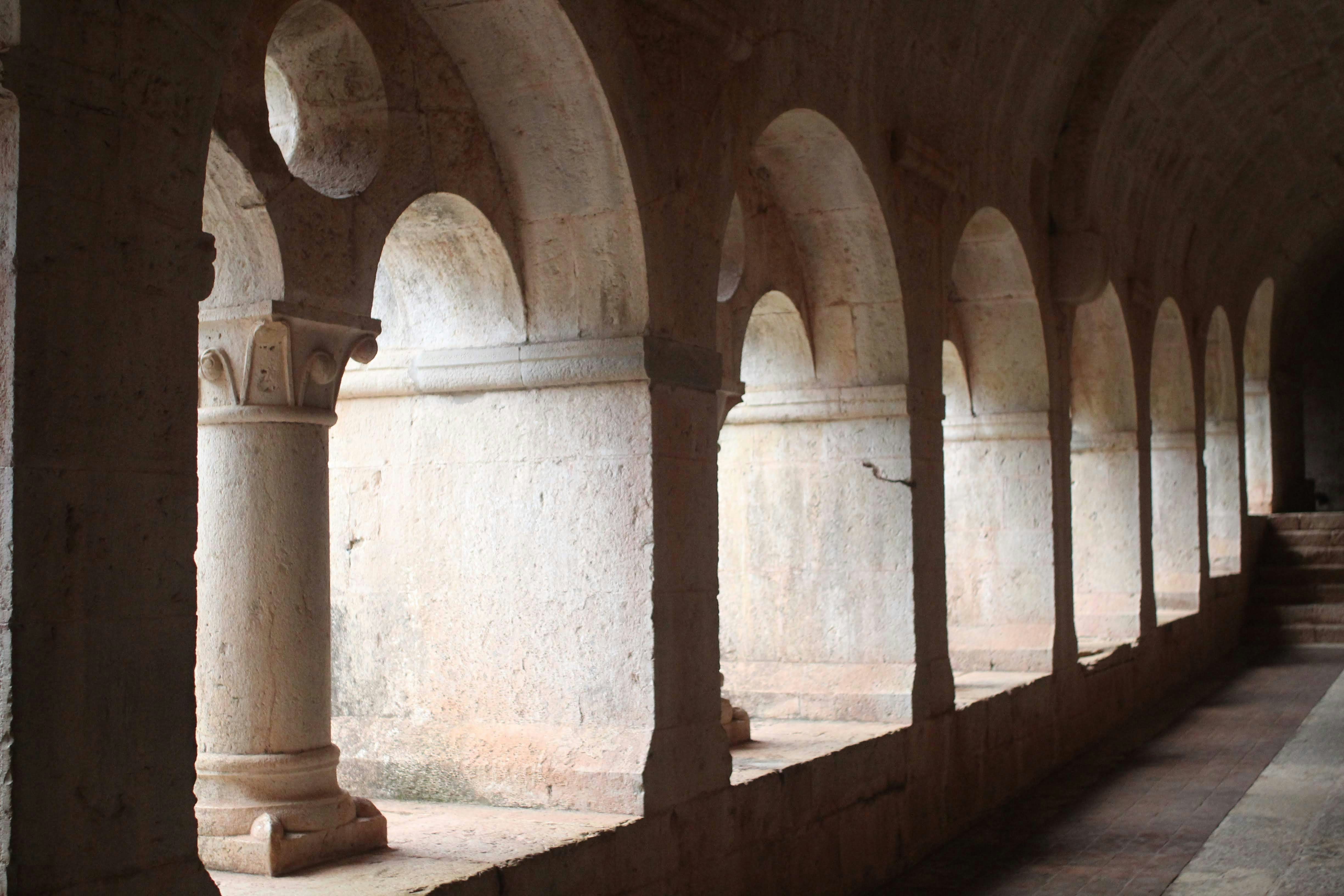 Photo by juniperoverbeke