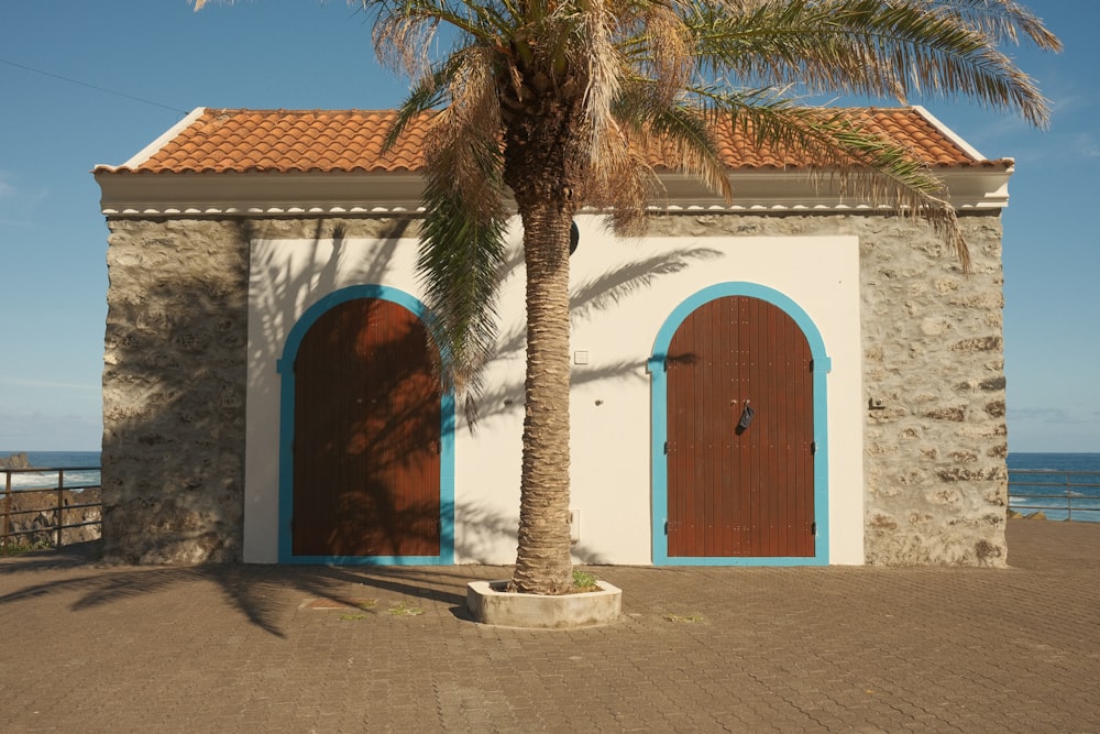 a building with a palm tree in front of it