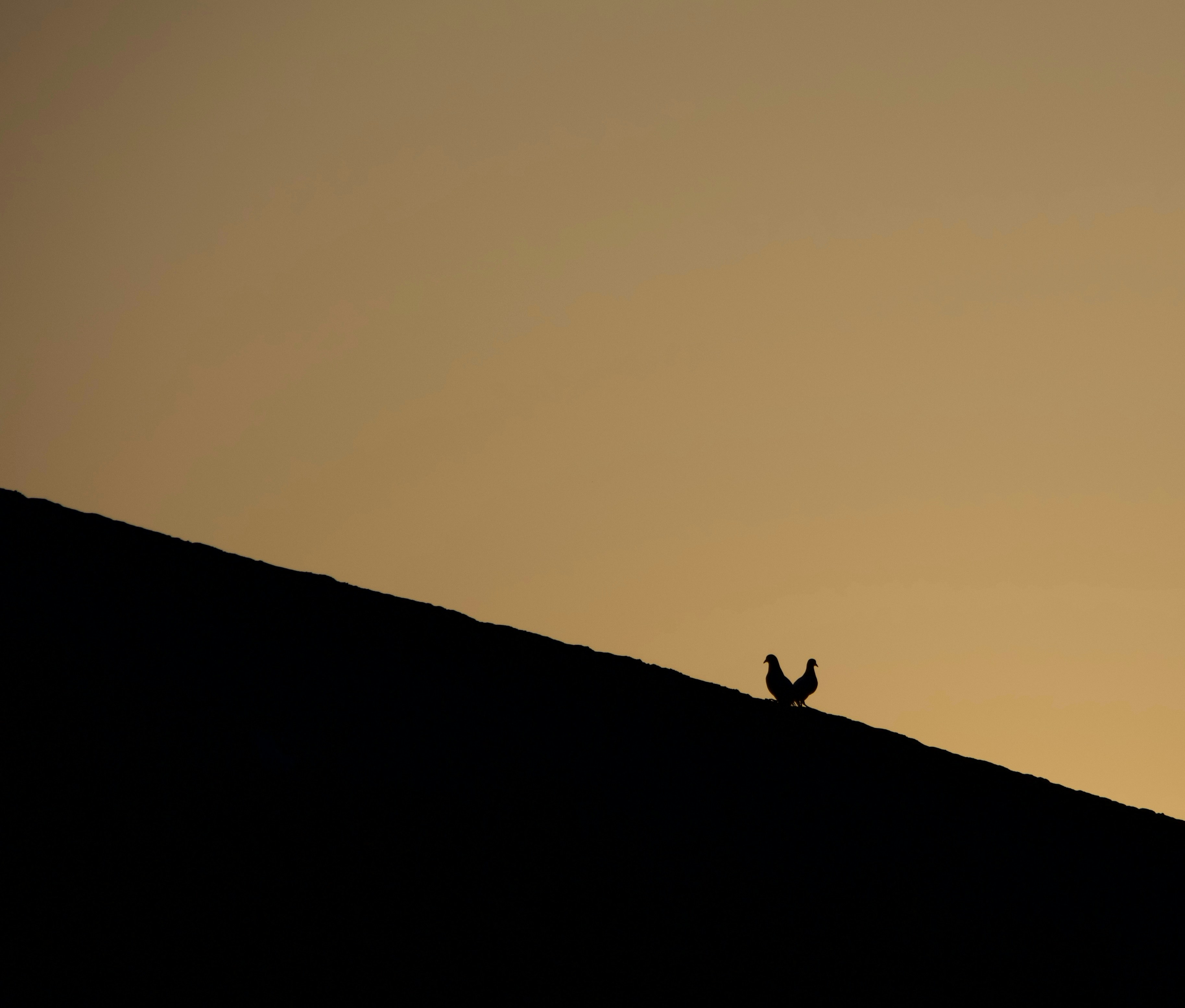 Photo by yesiamaphotographer