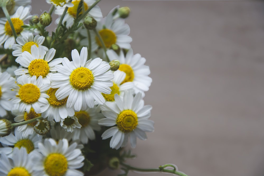 a bunch of white and yellow flowers in a vase