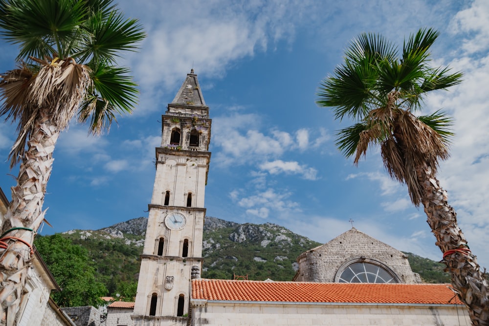 a church with a clock tower and palm trees
