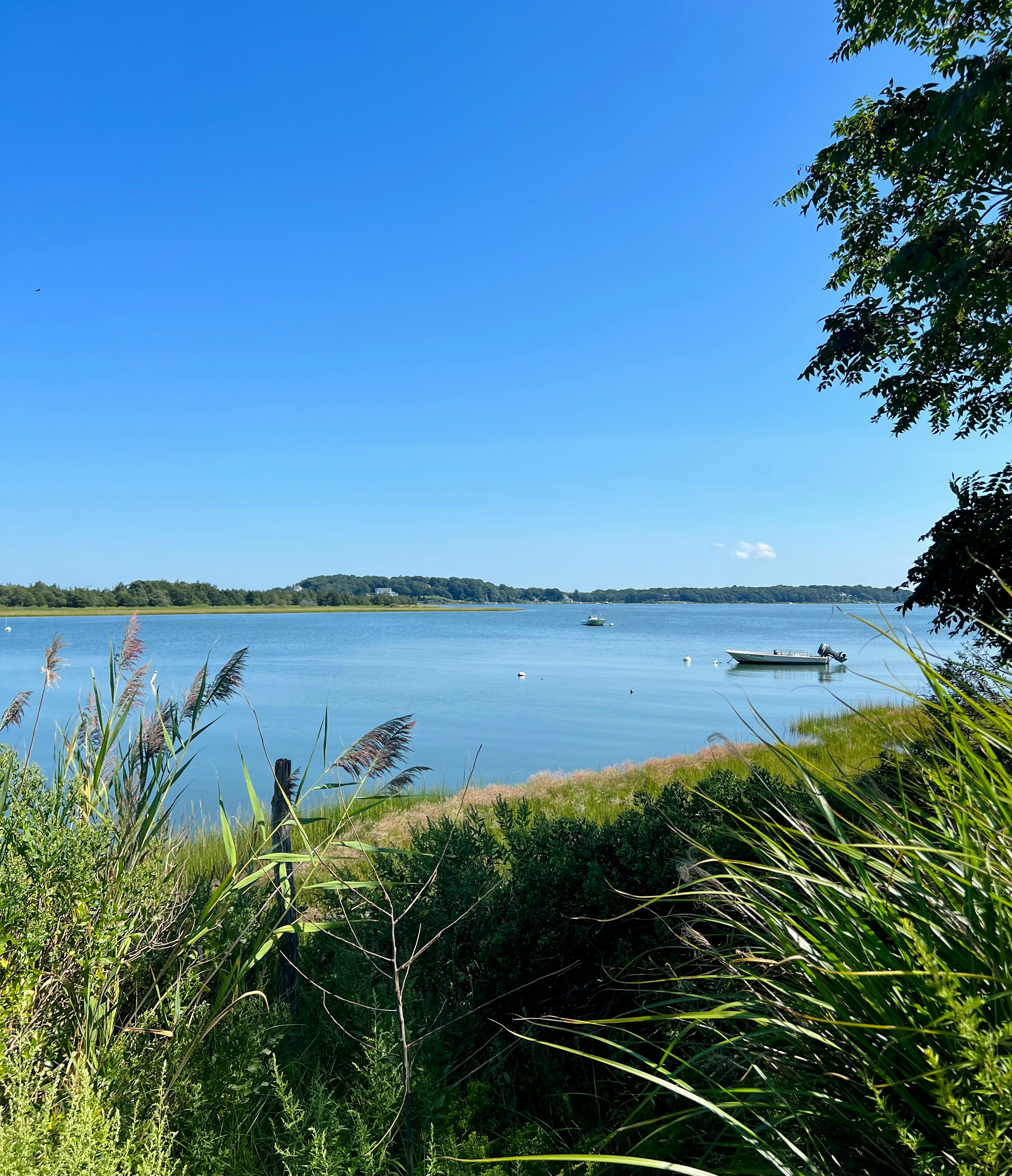 Photo by lachlancormie