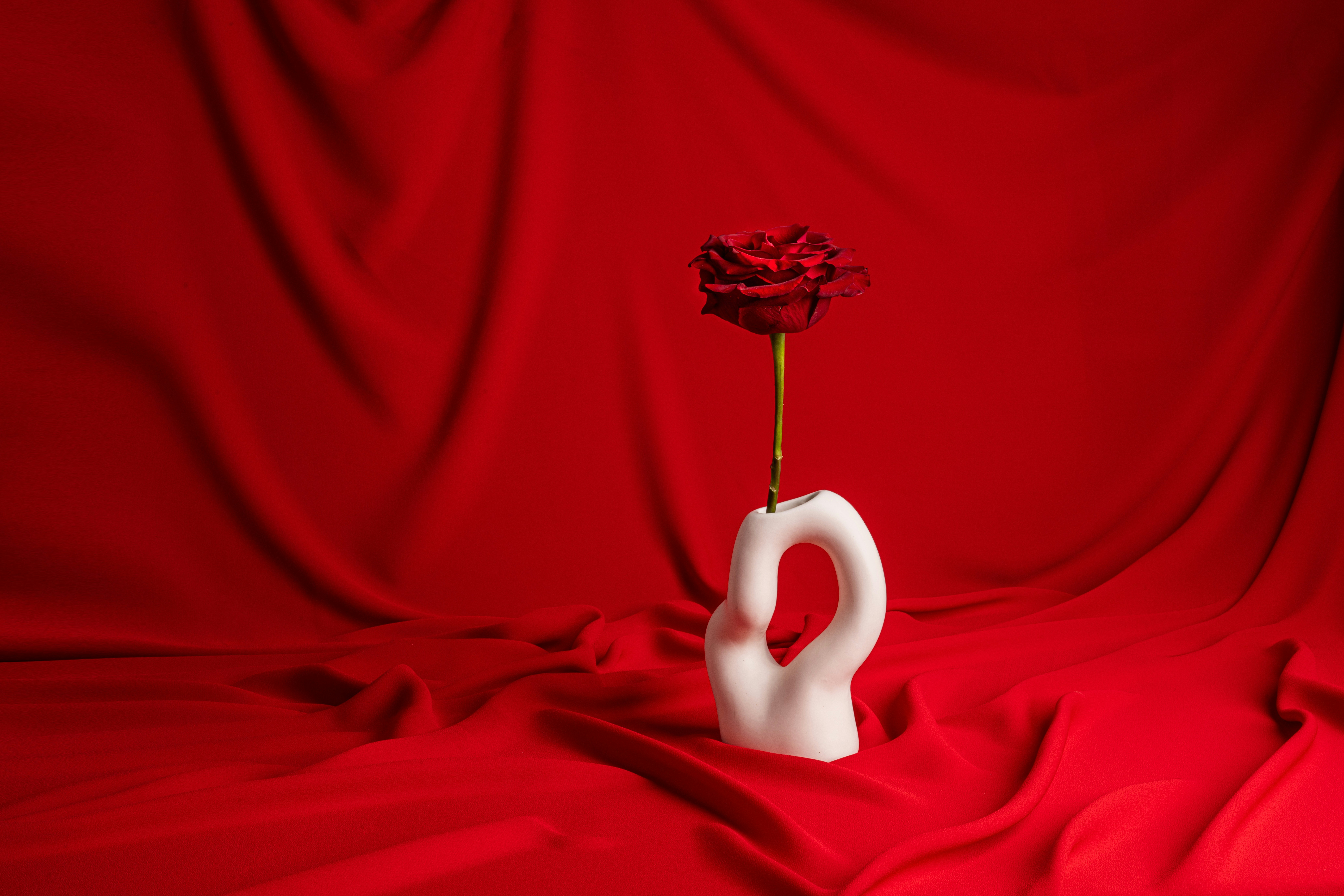 un vaso bianco con dentro una rosa rossa