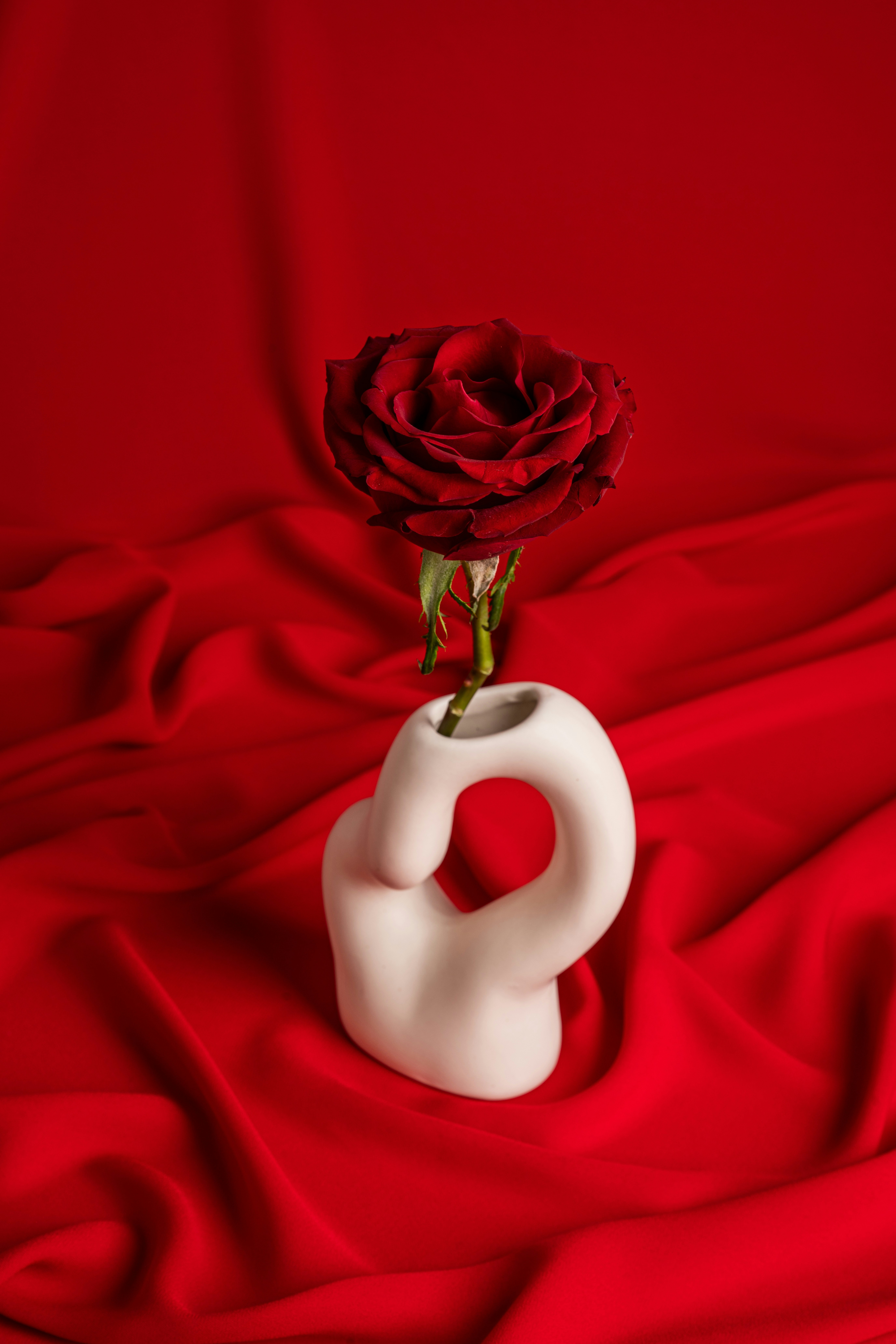 un vaso bianco con dentro una rosa rossa