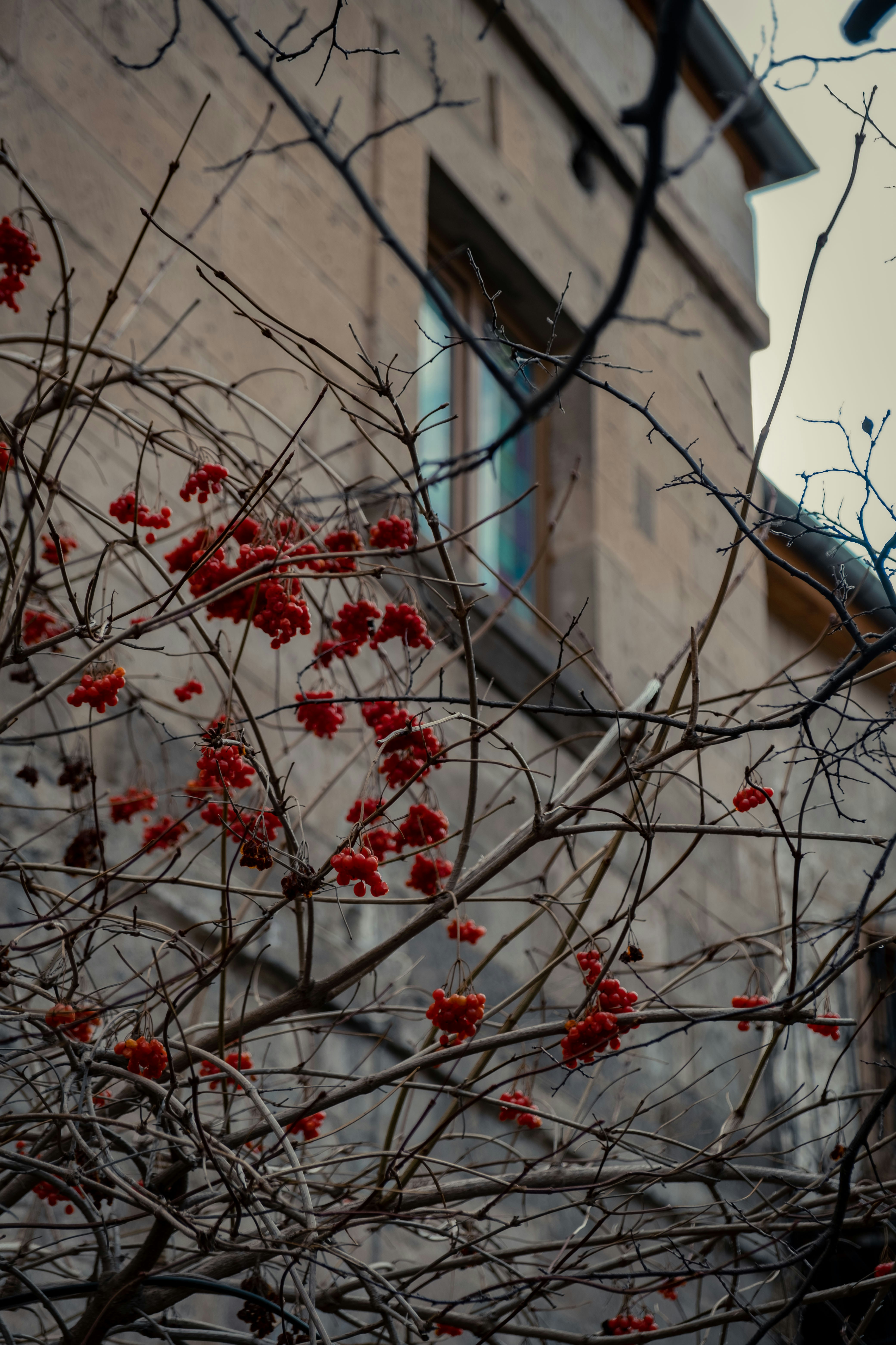 Photo by zeynepsudephoto