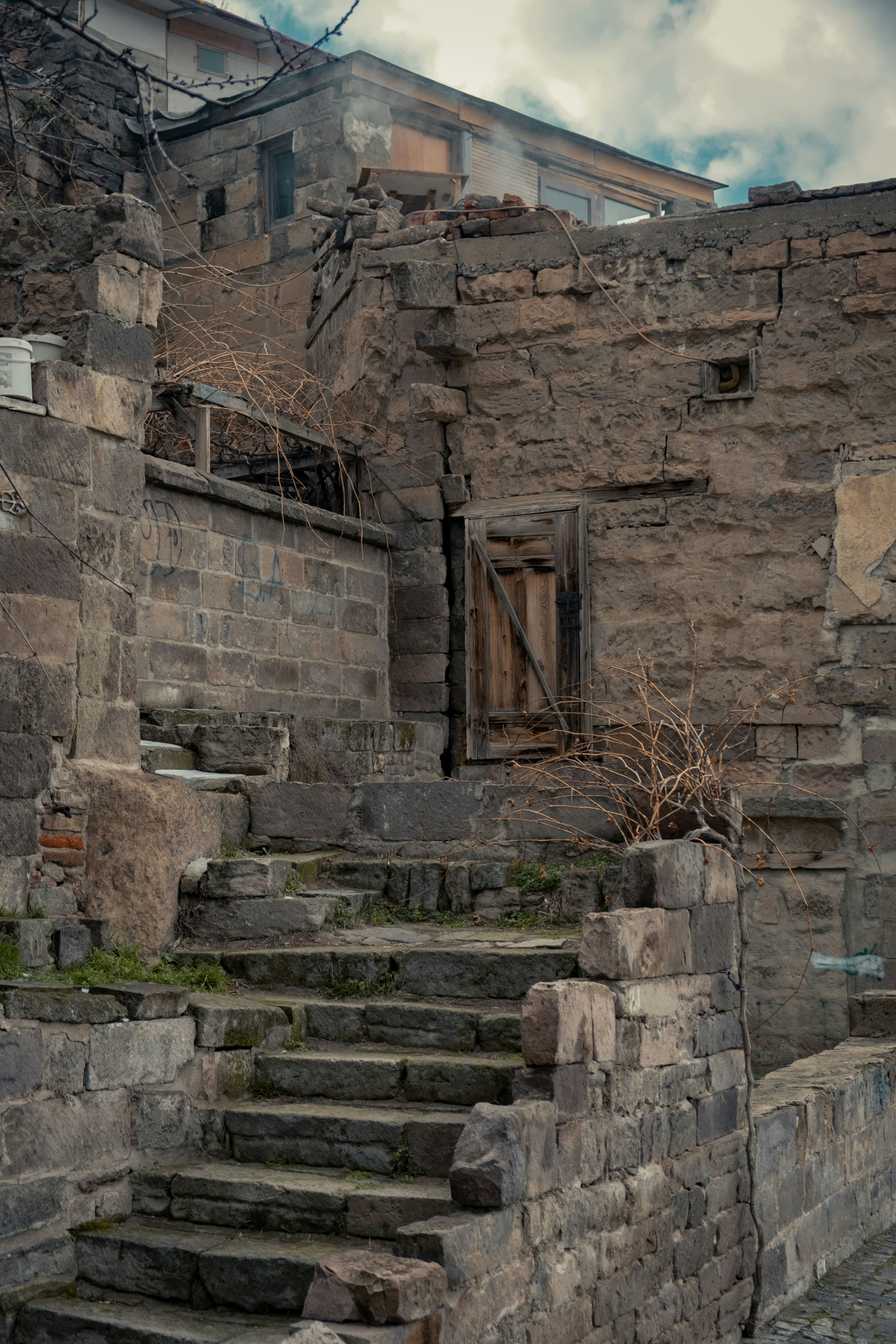 photo-1707248611330-54c2948afaf7?ixid=M3wxMjA3fDB8MXxzZWFyY2h8MTV8fHNpdHVzJTIwZGV3YWdhcnVkYXxlbnwwfHx8fDE3NTYwNDc1NTF8MA\u0026ixlib=rb-4.1.0