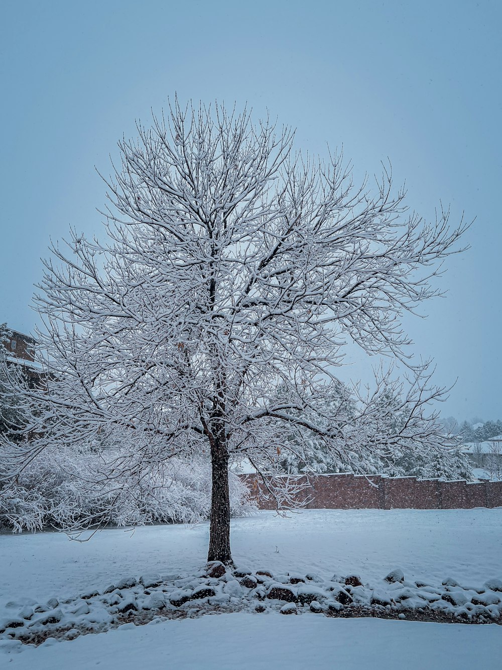 a tree covered in snow next to a brick wall