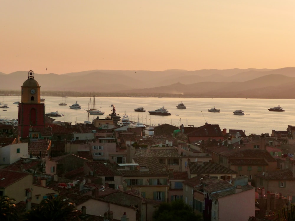 a view of a city with boats in the water