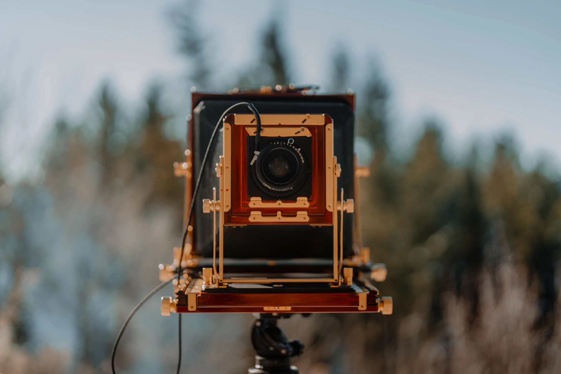 A wooden large format field camera with brass fittings on a tripod, trees behind