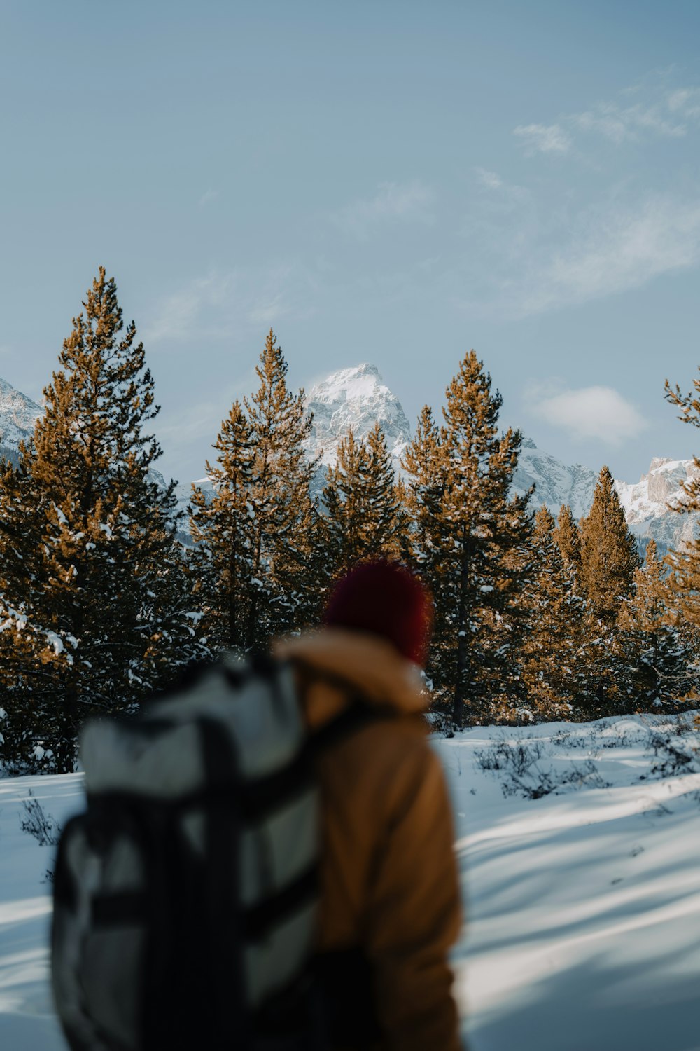 a person walking in the snow with a backpack