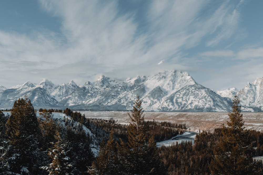 a scenic view of the grand teton range