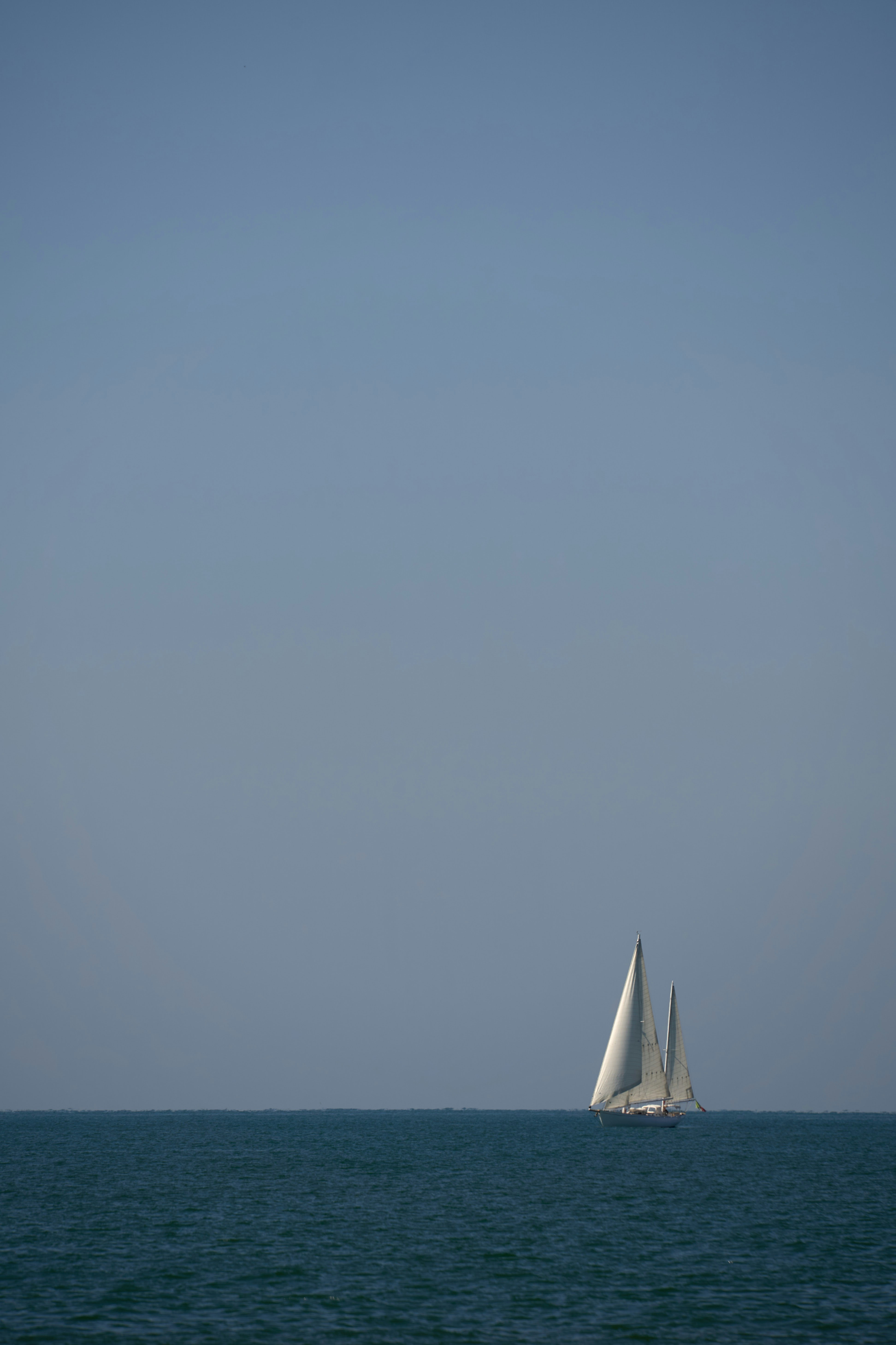 Photo by wolfgang_hasselmann