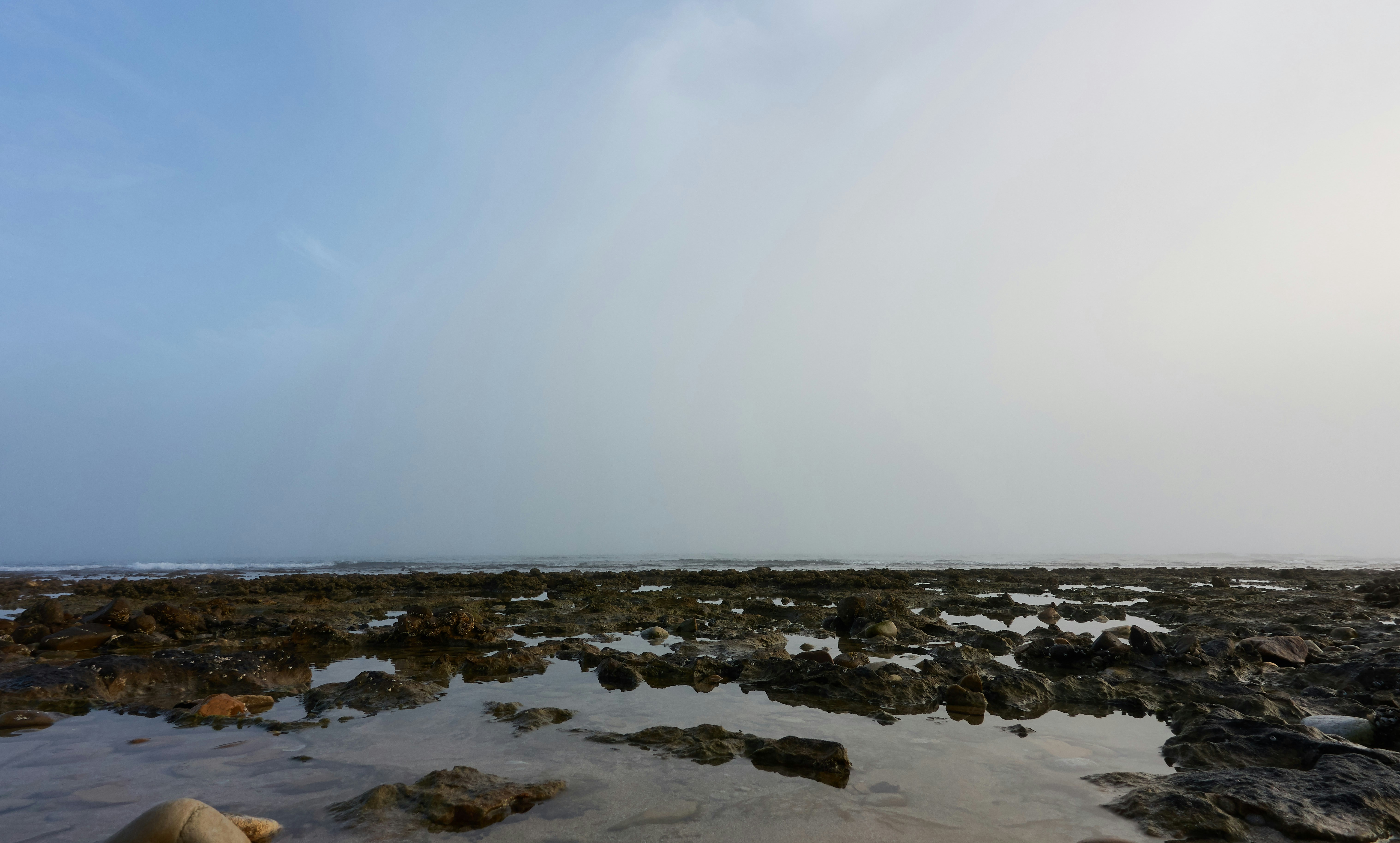 Photo by wolfgang_hasselmann