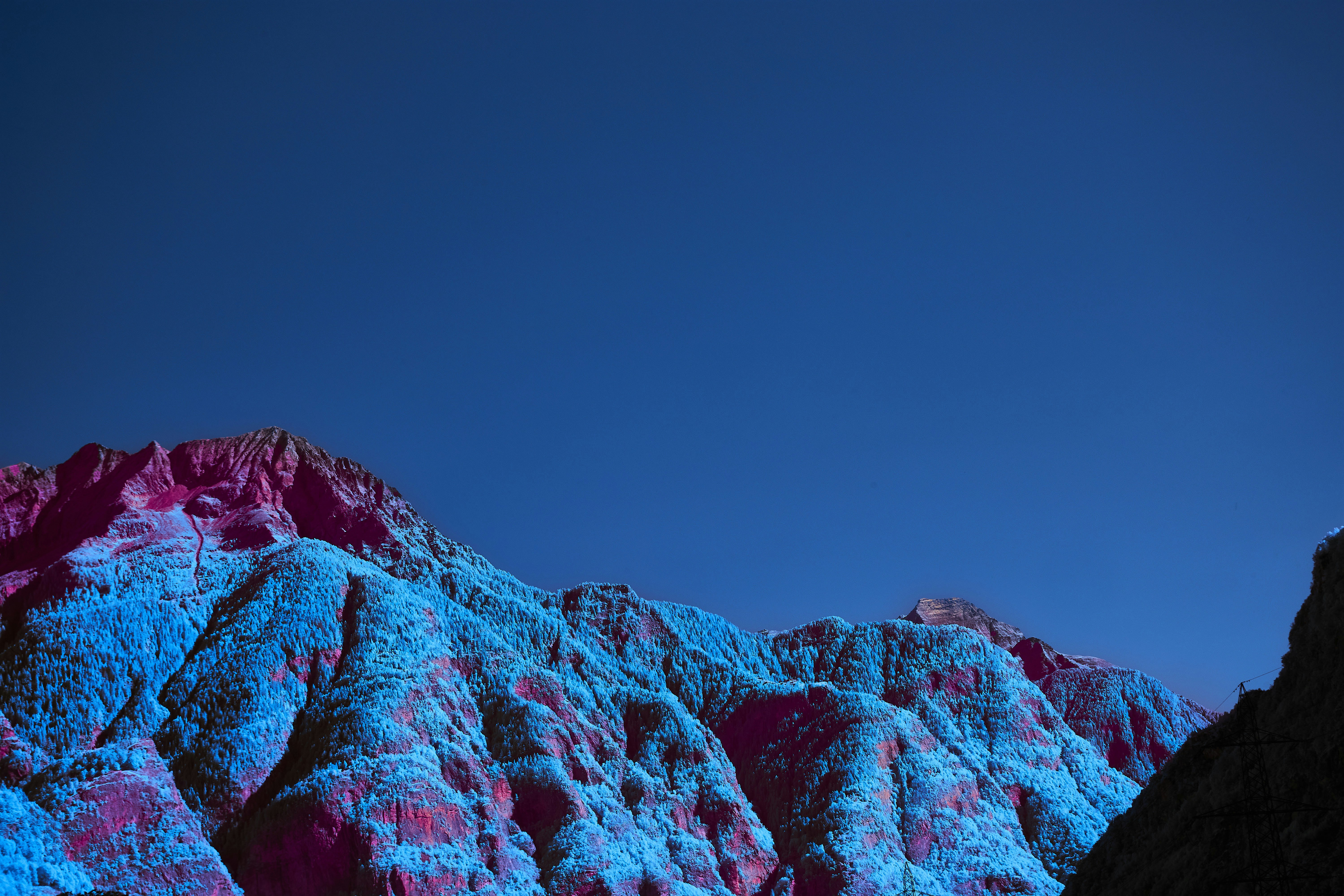 Photo by wolfgang_hasselmann