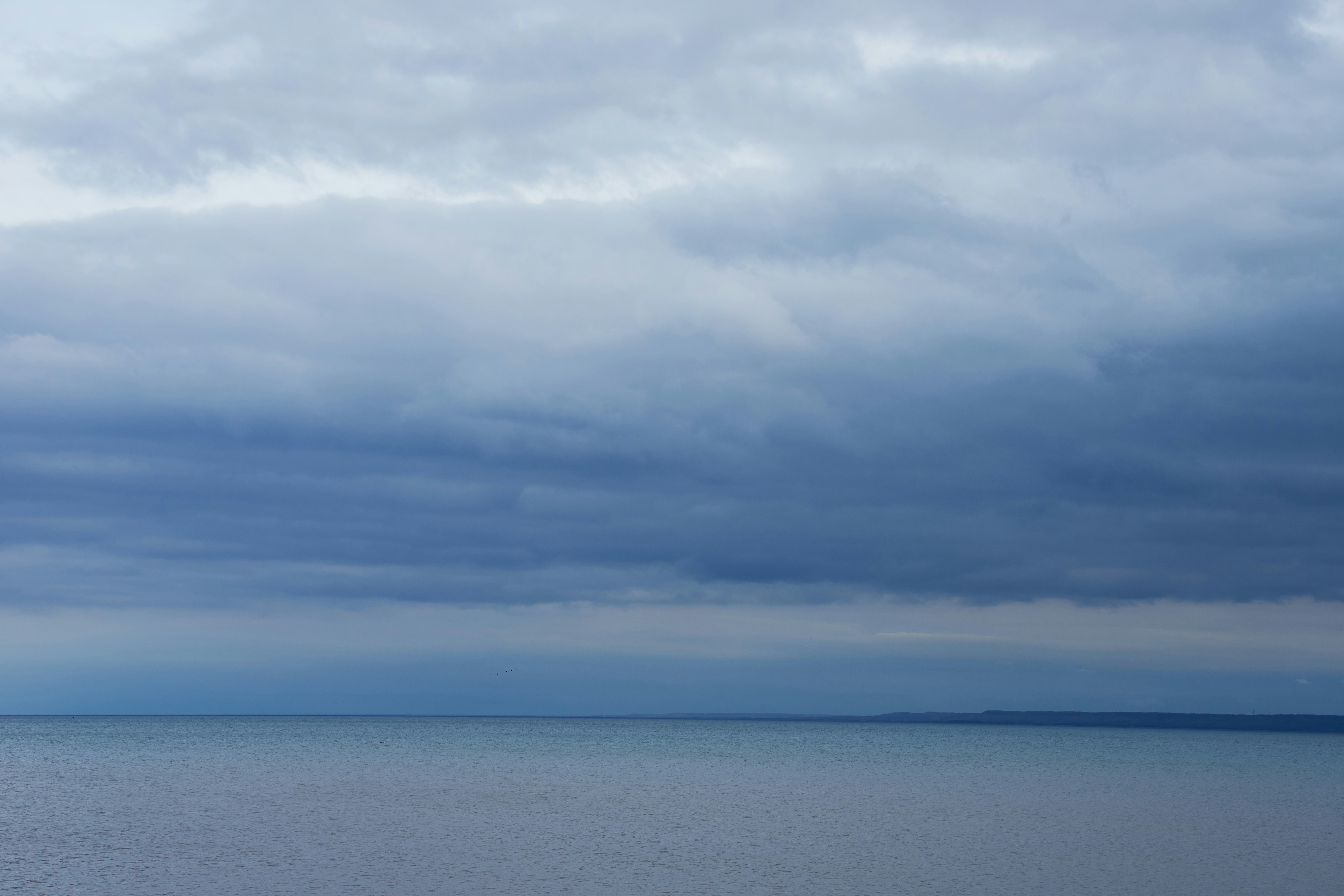 Photo by wolfgang_hasselmann