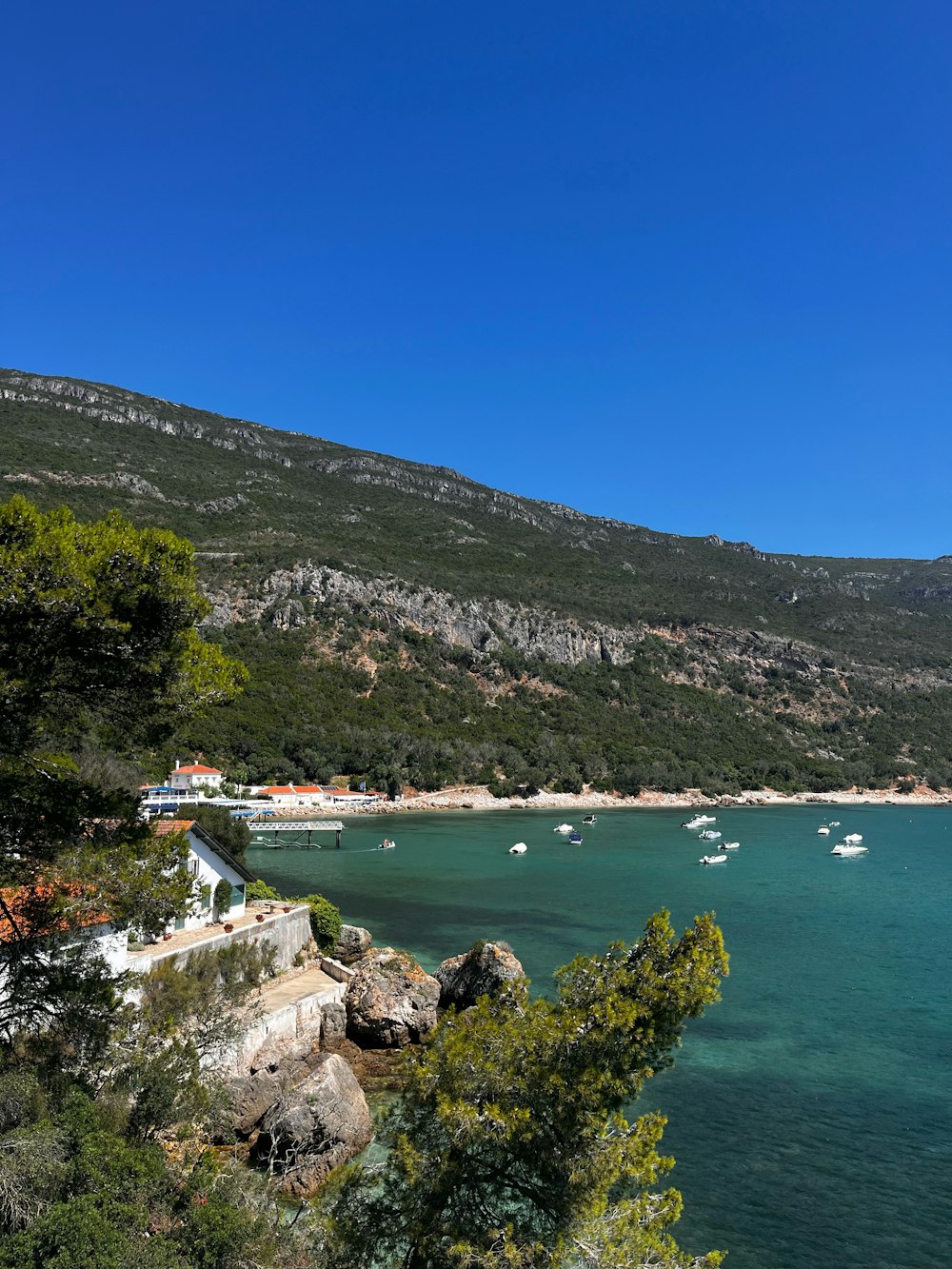 a body of water surrounded by mountains and trees