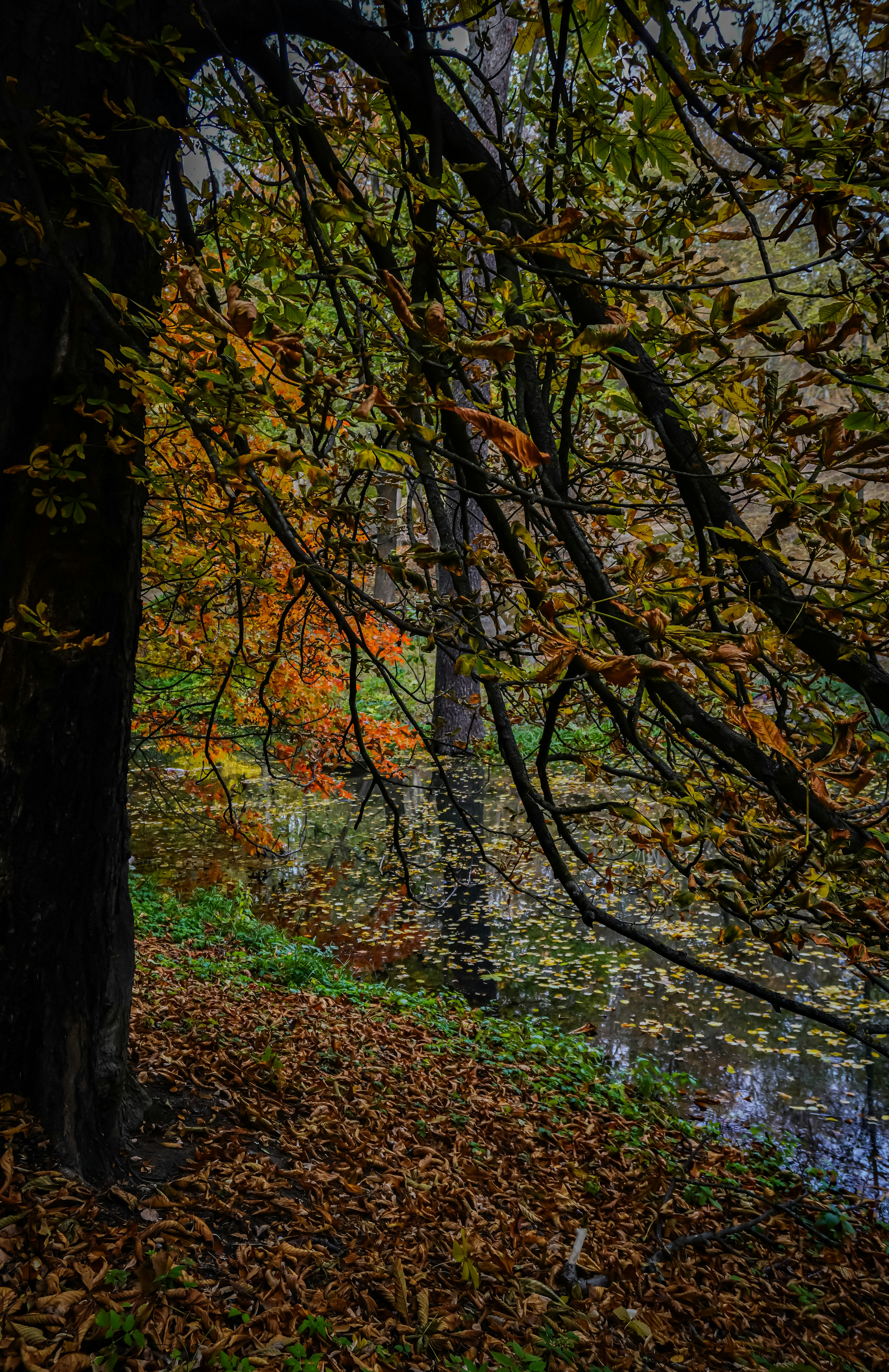 Photo by nadine248