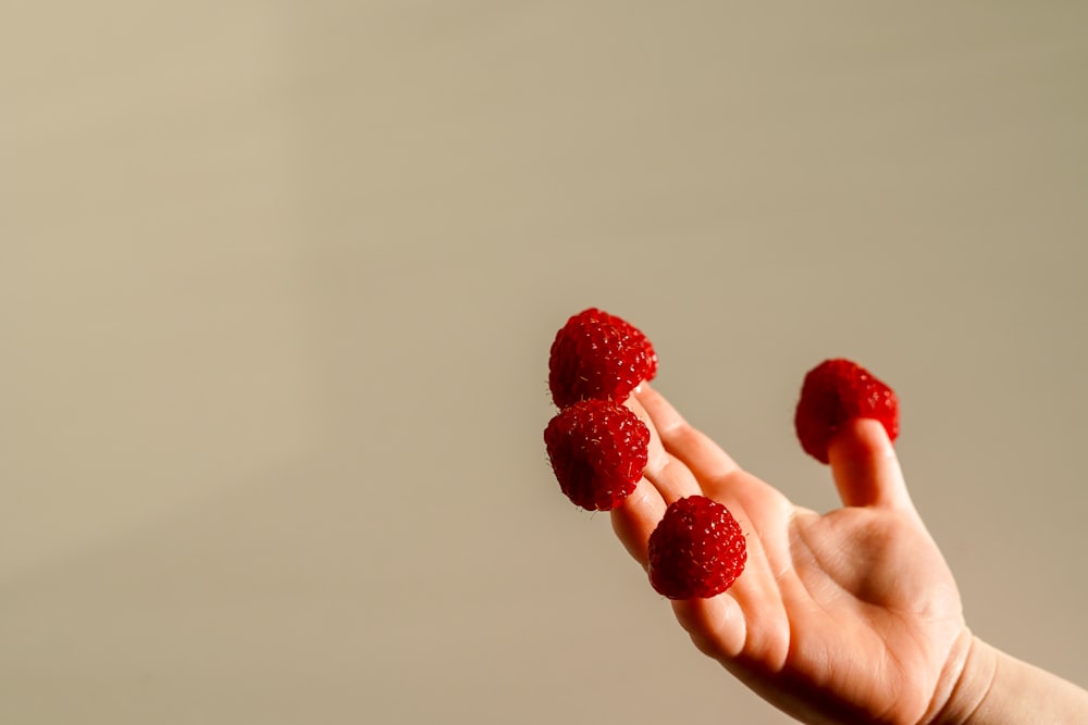 a person holding raspberries in their hand