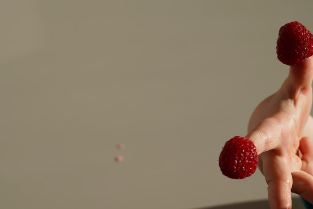 a person holding raspberries in their hand