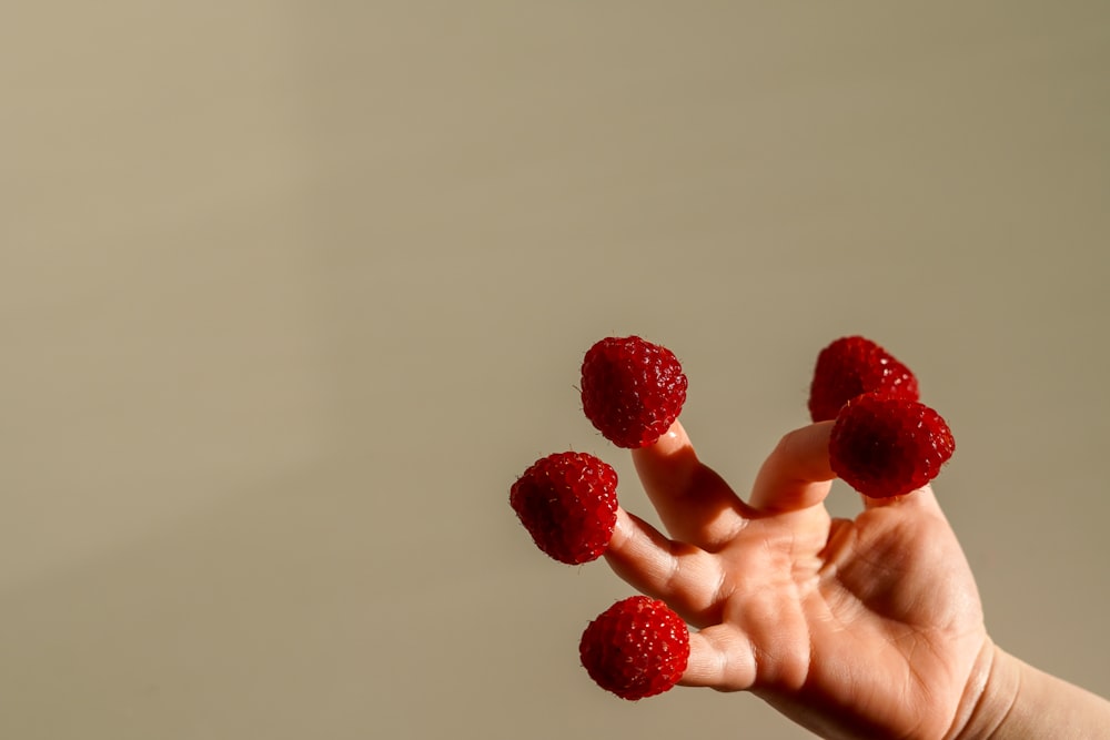 a person holding raspberries in their hand