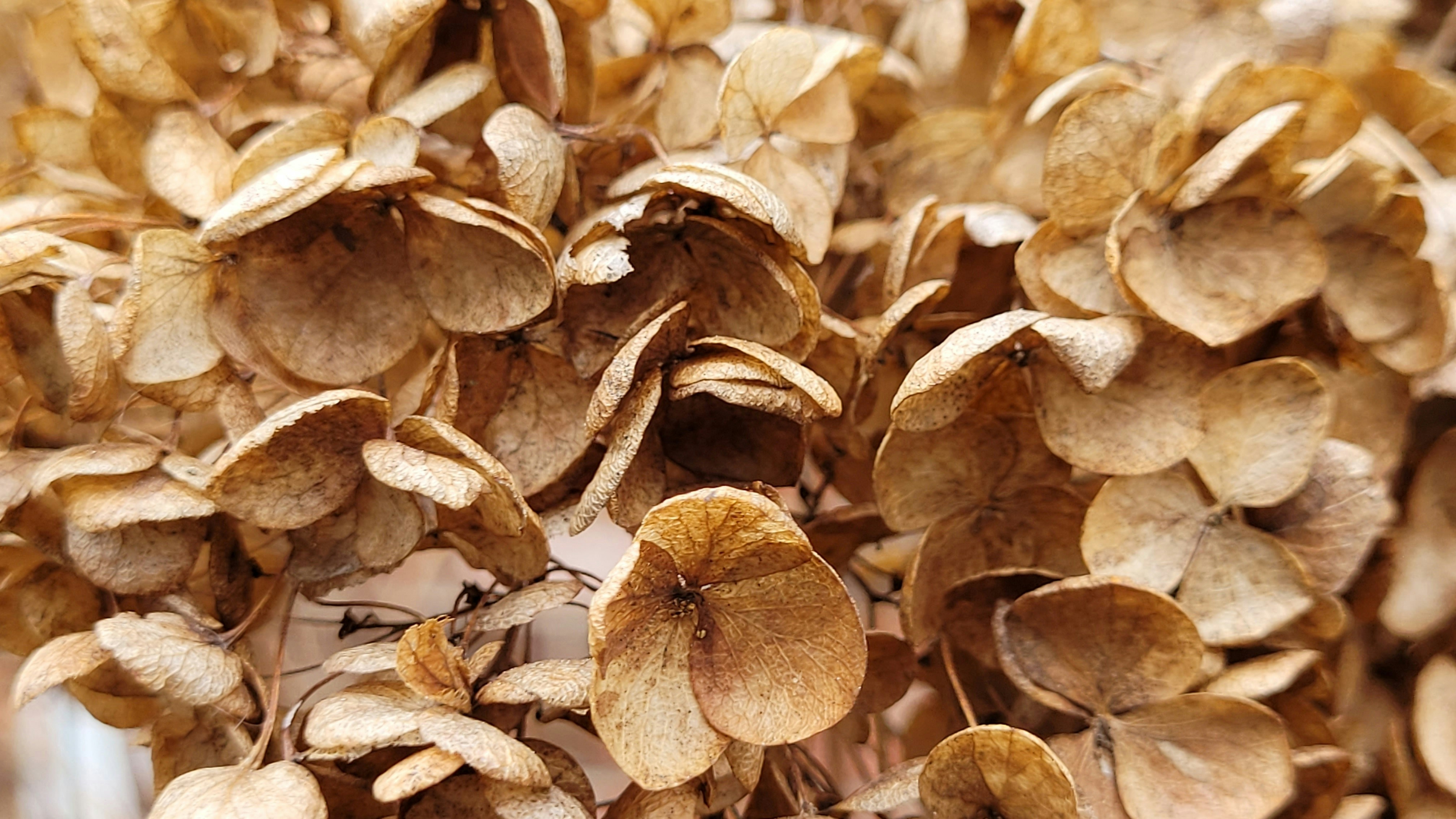 Photo by shiola_odan