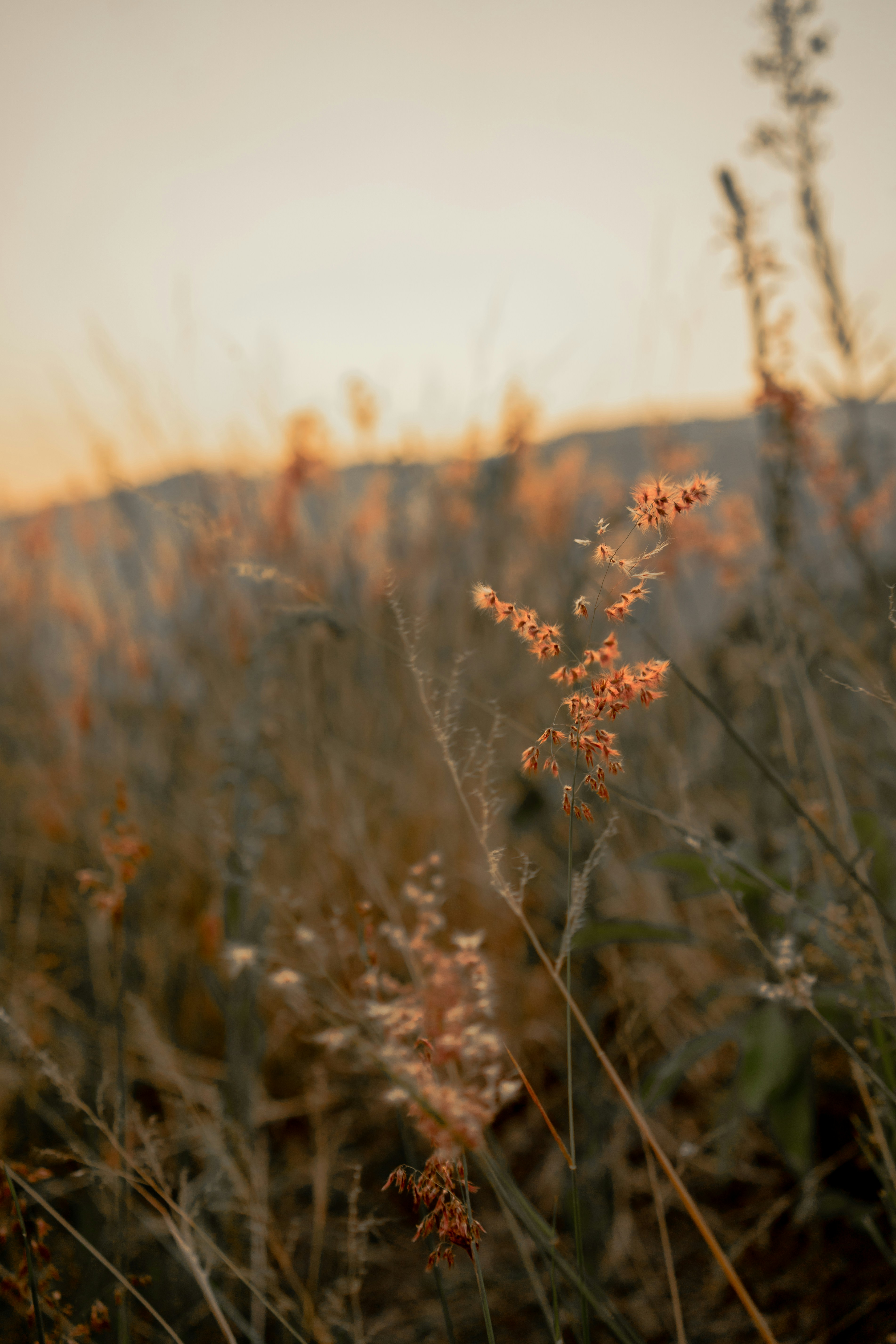 Photo by shelbyfigueroa