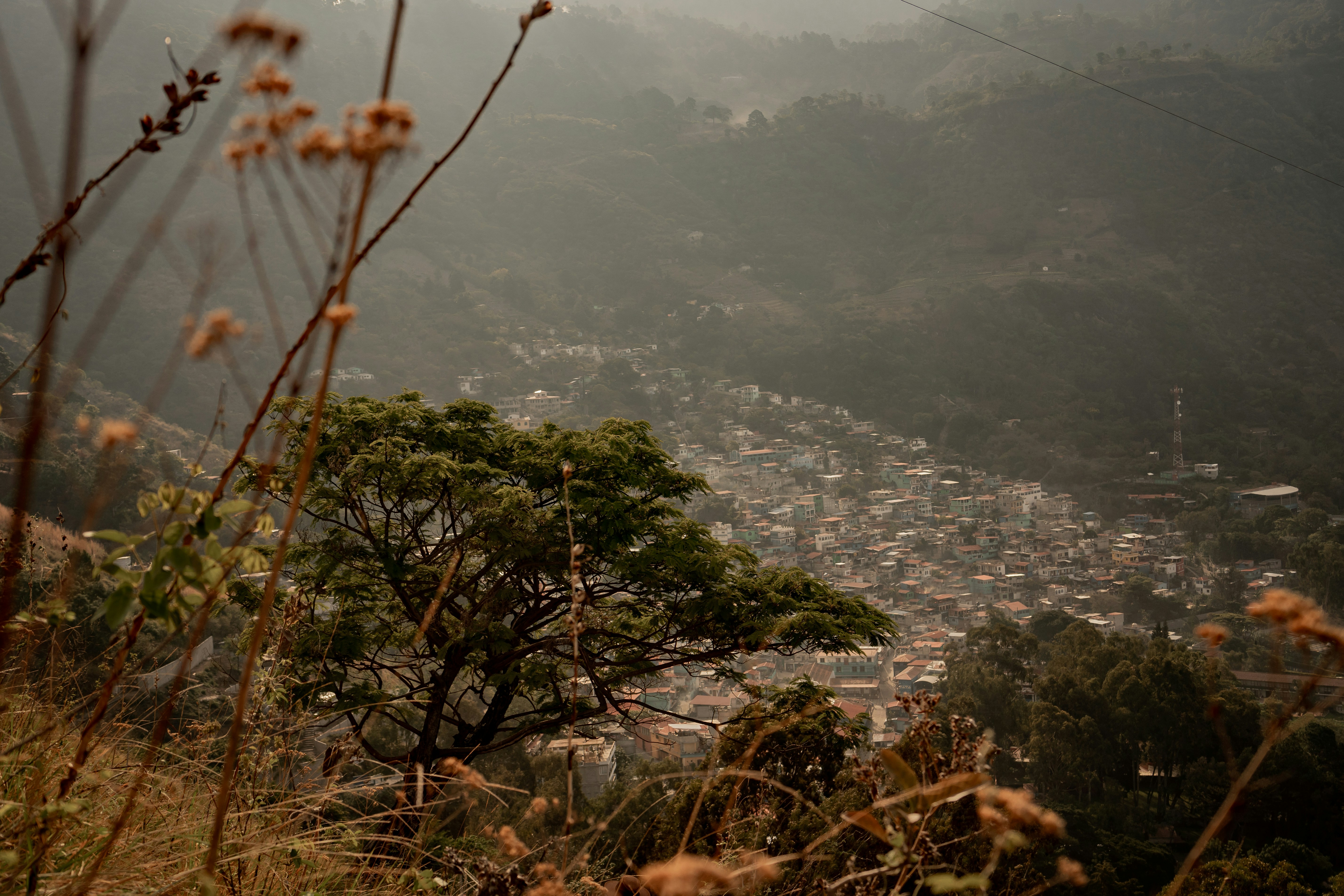 Photo by shelbyfigueroa