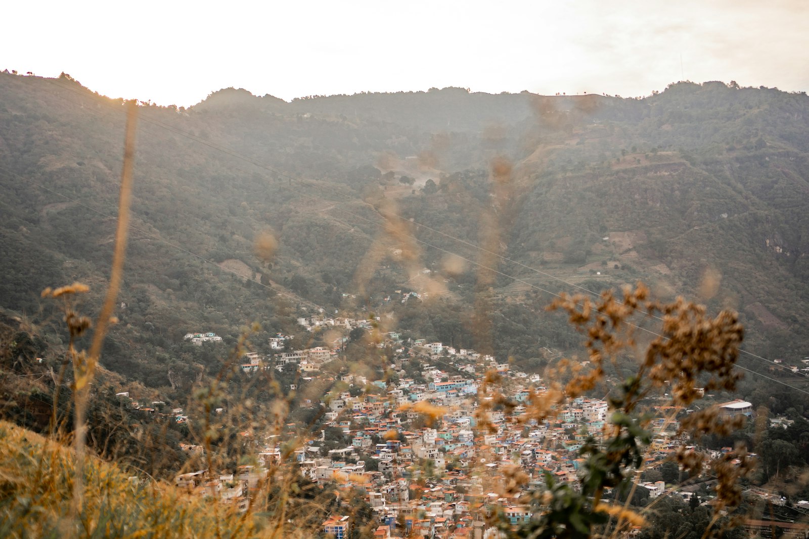 Paisajismo en San Marcos