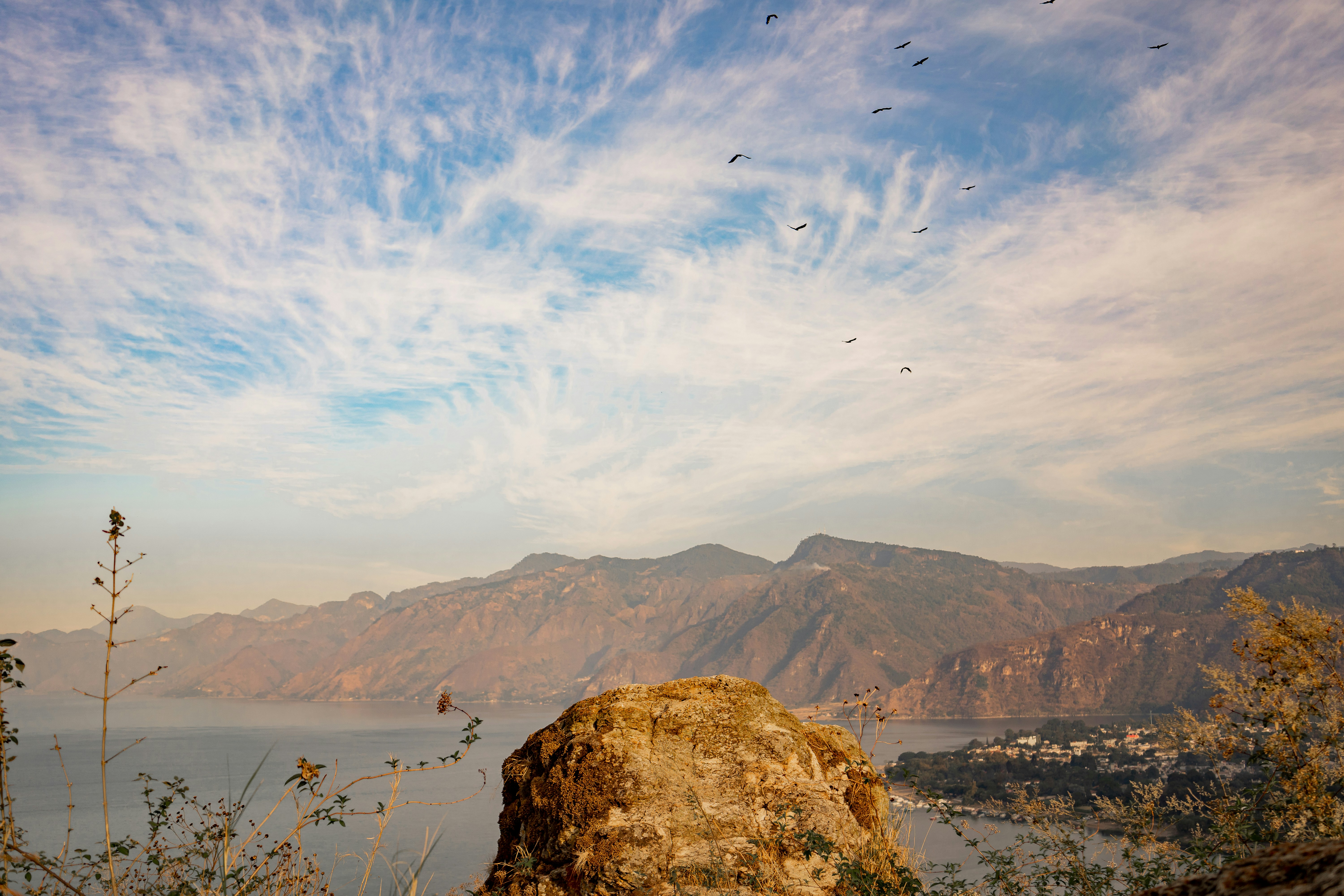 a bird flying over a large body of water, 