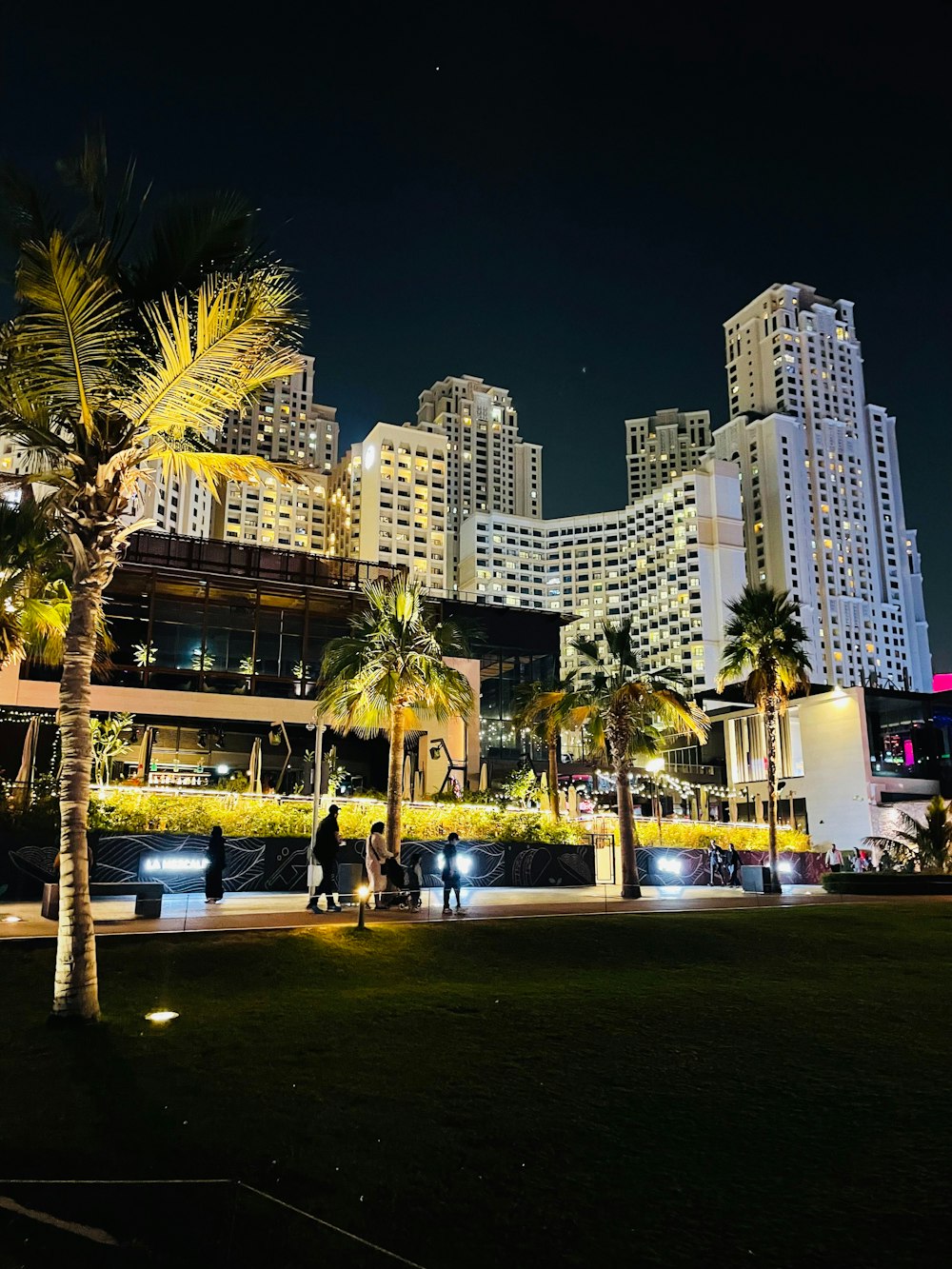 a city at night with tall buildings and palm trees