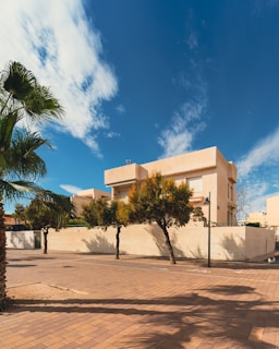 a building with a palm tree in front of it