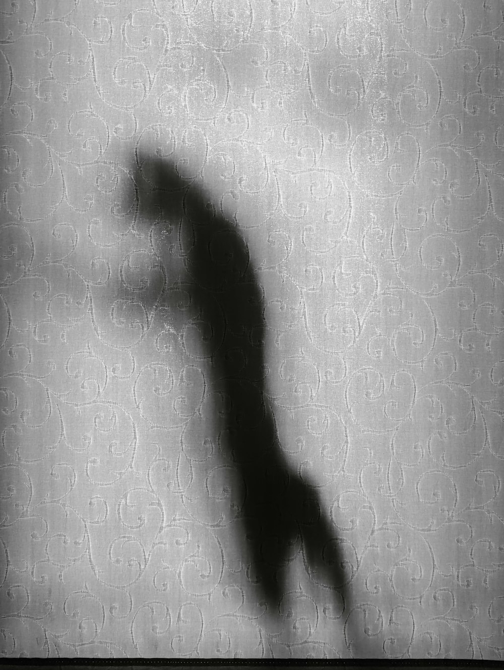 a black and white photo of a long shadow