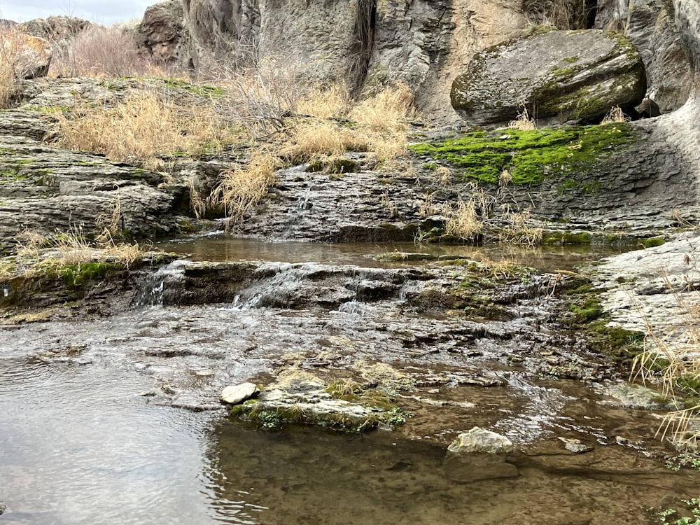 a small stream running through a rocky landscape