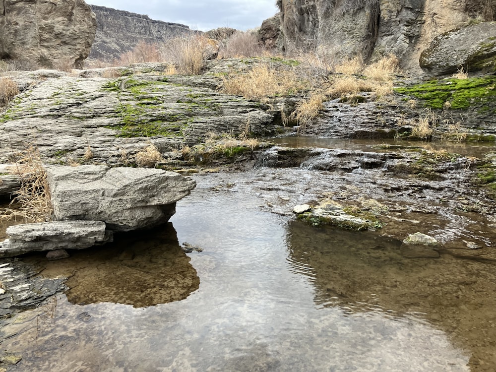 a small stream running through a rocky landscape