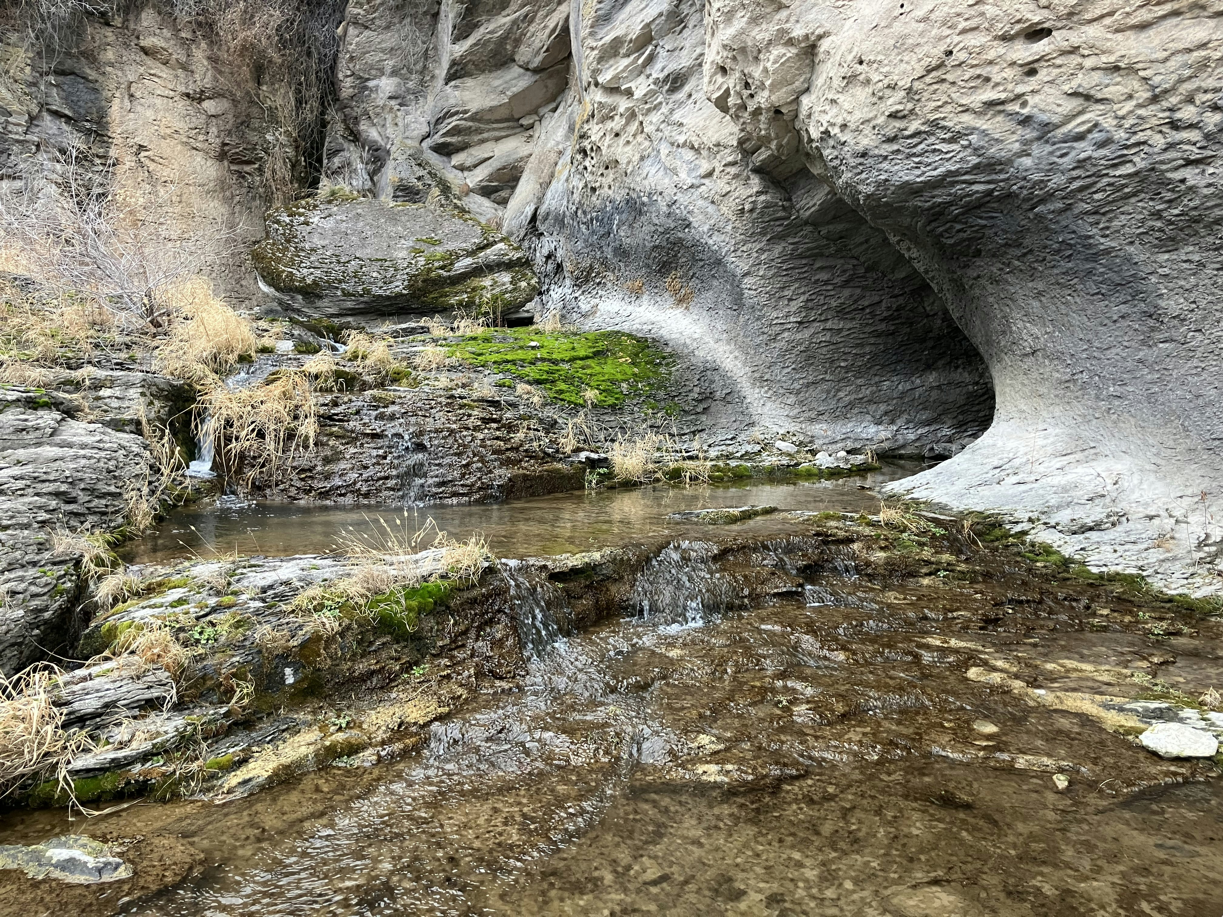 Photo by akh_artwork