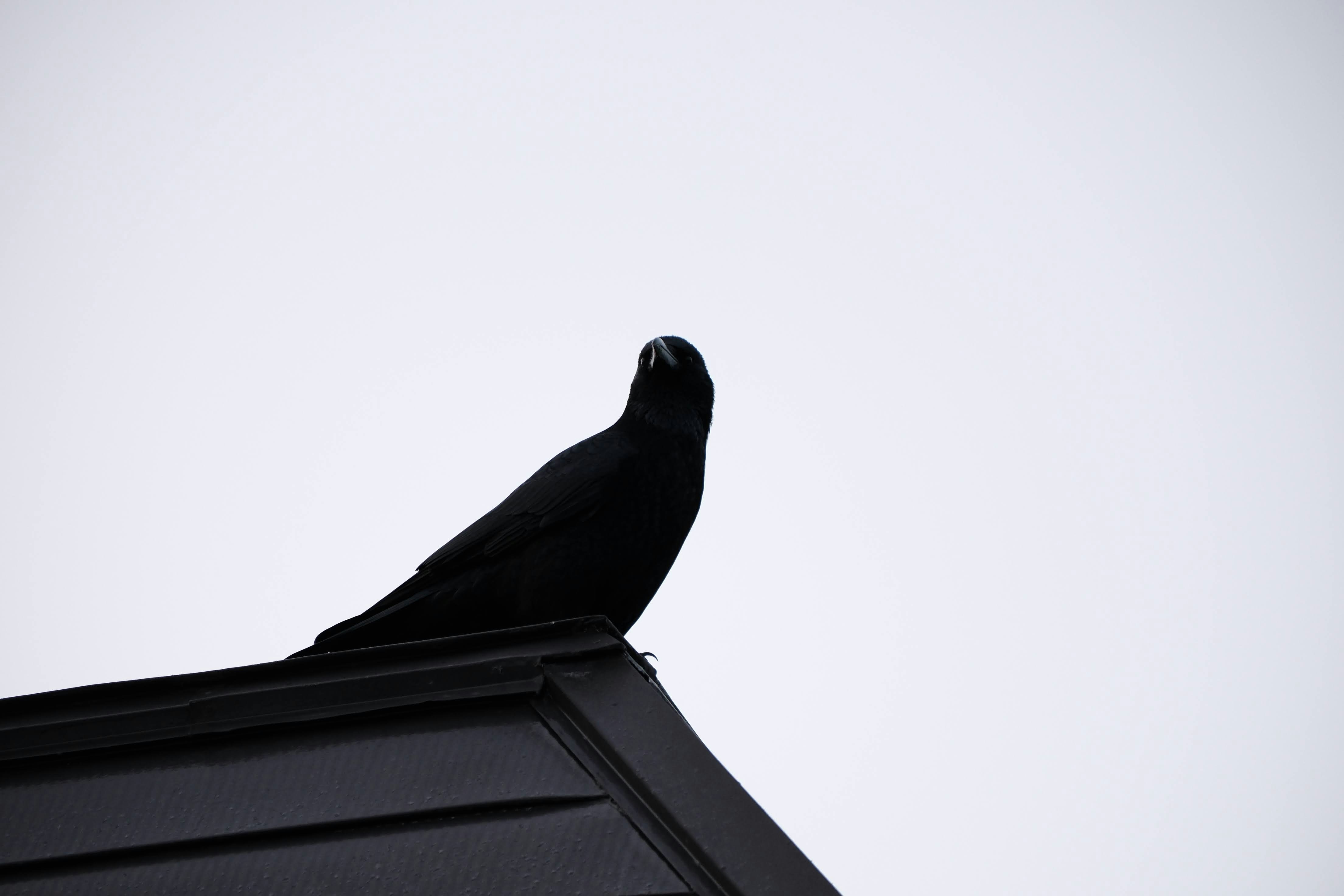 Photo by seiya_maeda