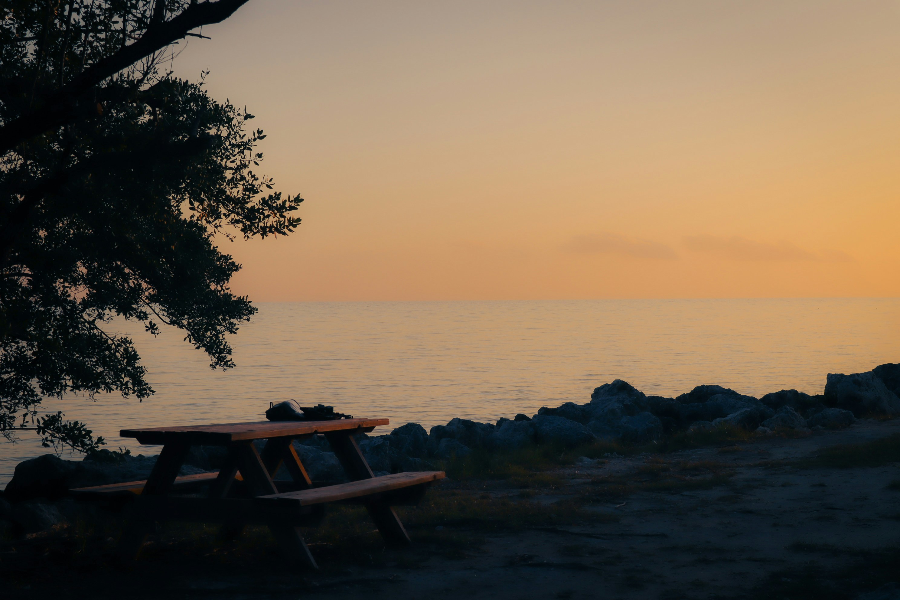 Photo by lg_photography