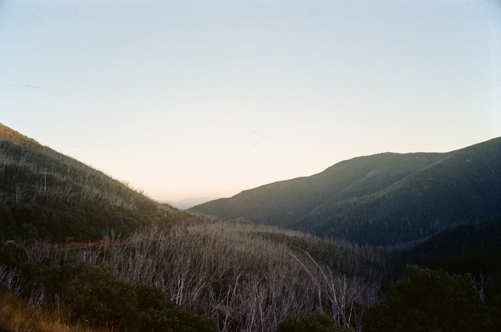 a view of a mountain range with trees in the foreground