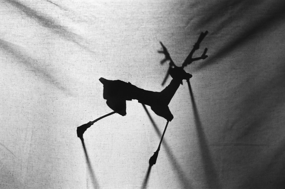 a black and white photo of a silhouette of a deer