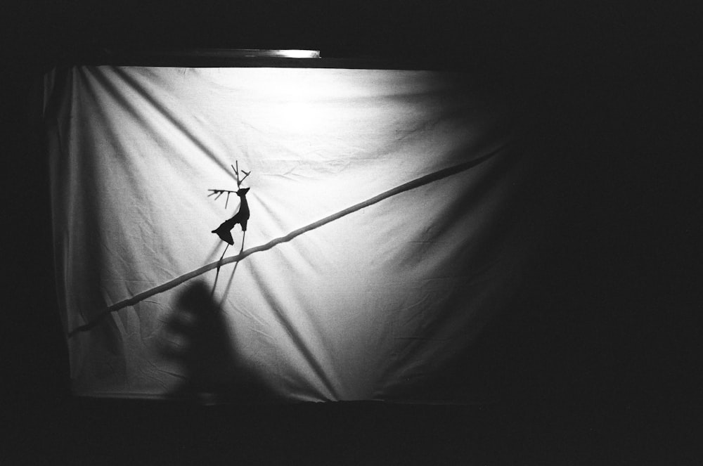 a black and white photo of a bird on a wire